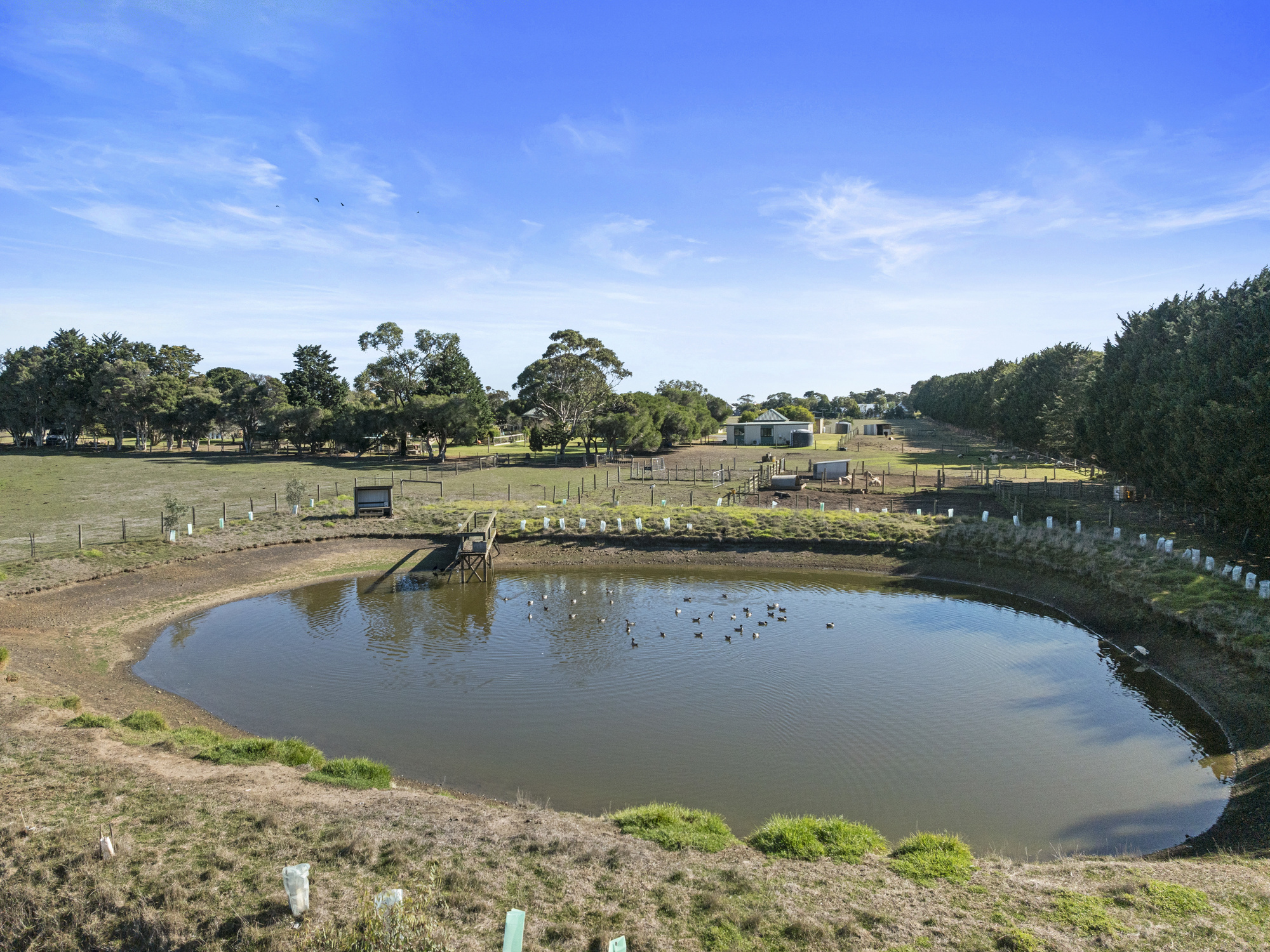 422 Ventnor Road, Ventnor For Sale by Farmbuy.com - image 22