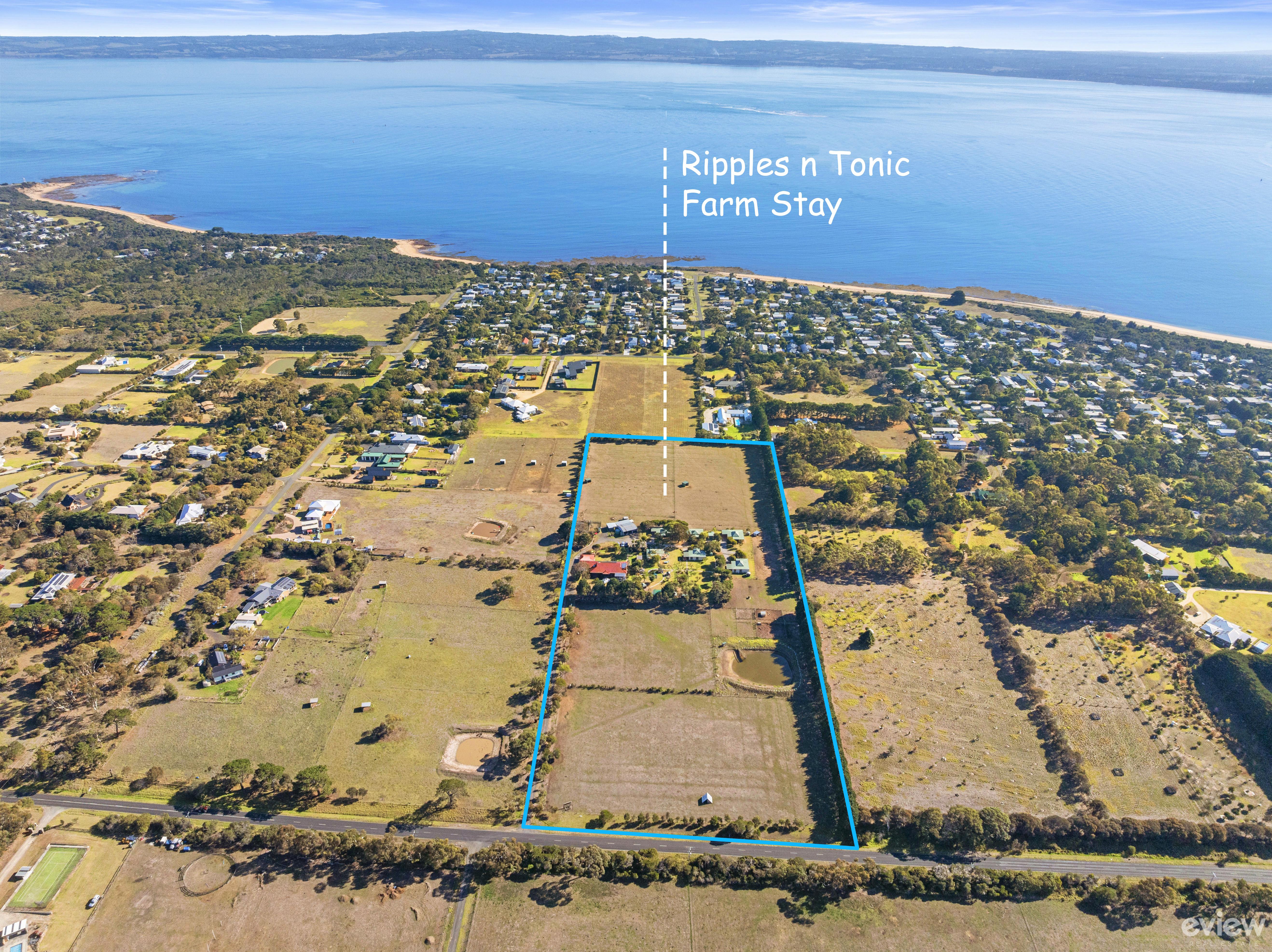 422 Ventnor Road, Ventnor For Sale by Farmbuy.com - image 3