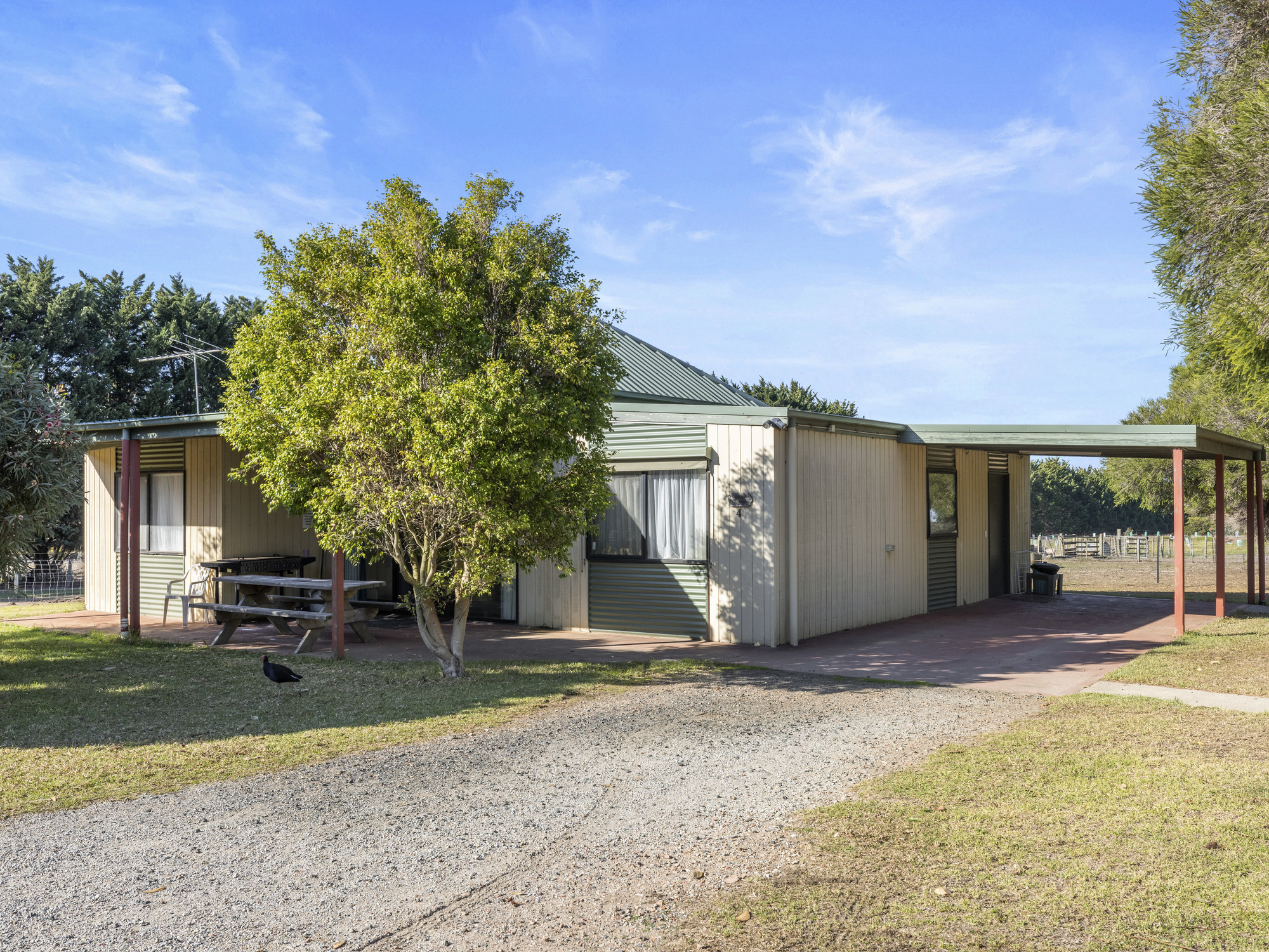 422 Ventnor Road, Ventnor For Sale by Farmbuy.com - image 7