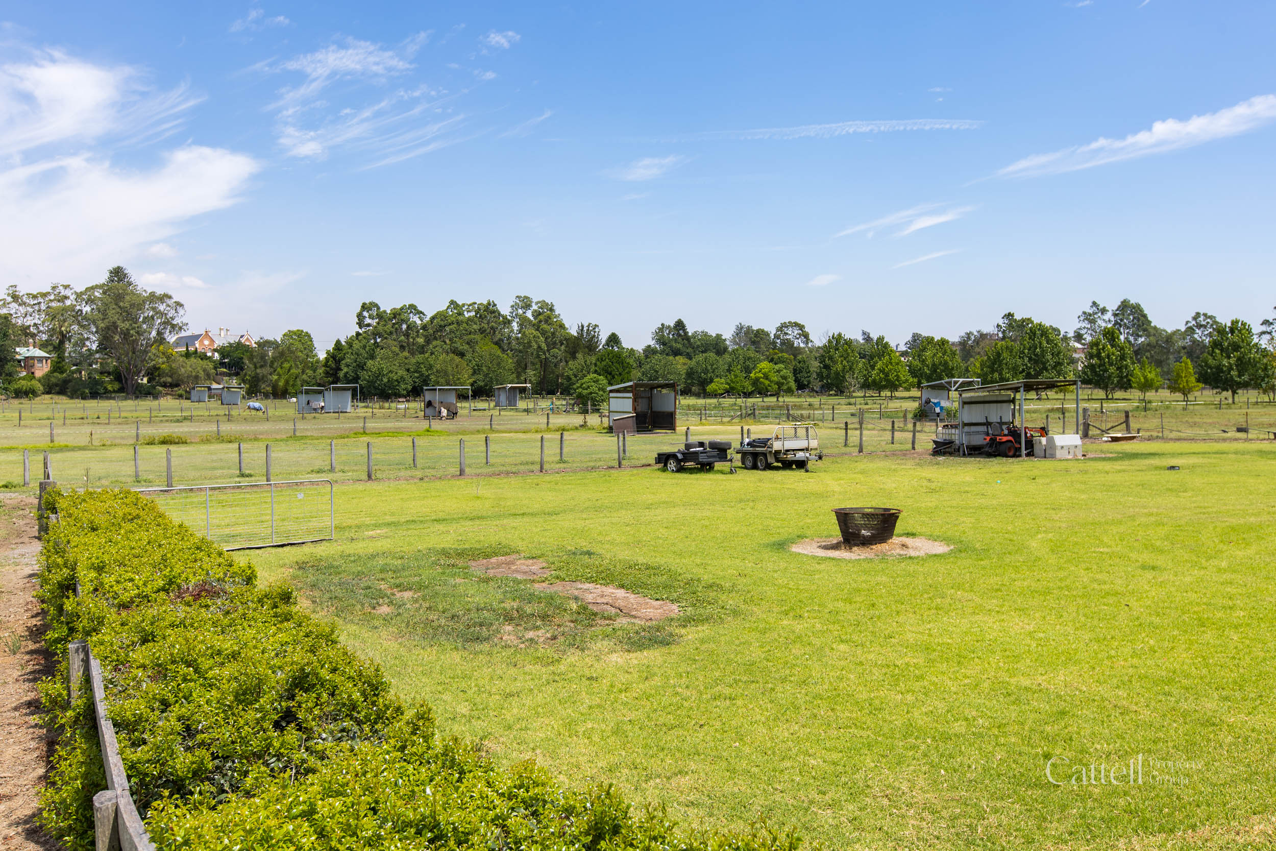 50 Bull Street, Maitland For Sale by Farmbuy.com - image 9