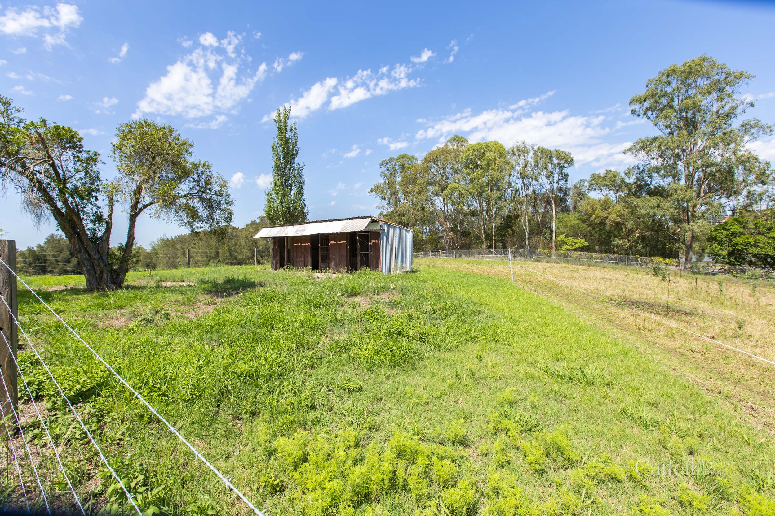 64 Bonar Street, Maitland For Sale by Farmbuy.com - image 20