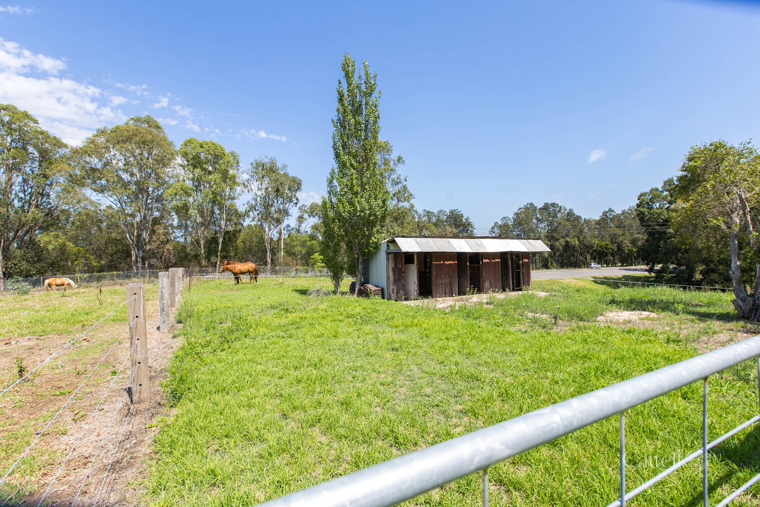 64 Bonar Street, Maitland For Sale by Farmbuy.com - image 33