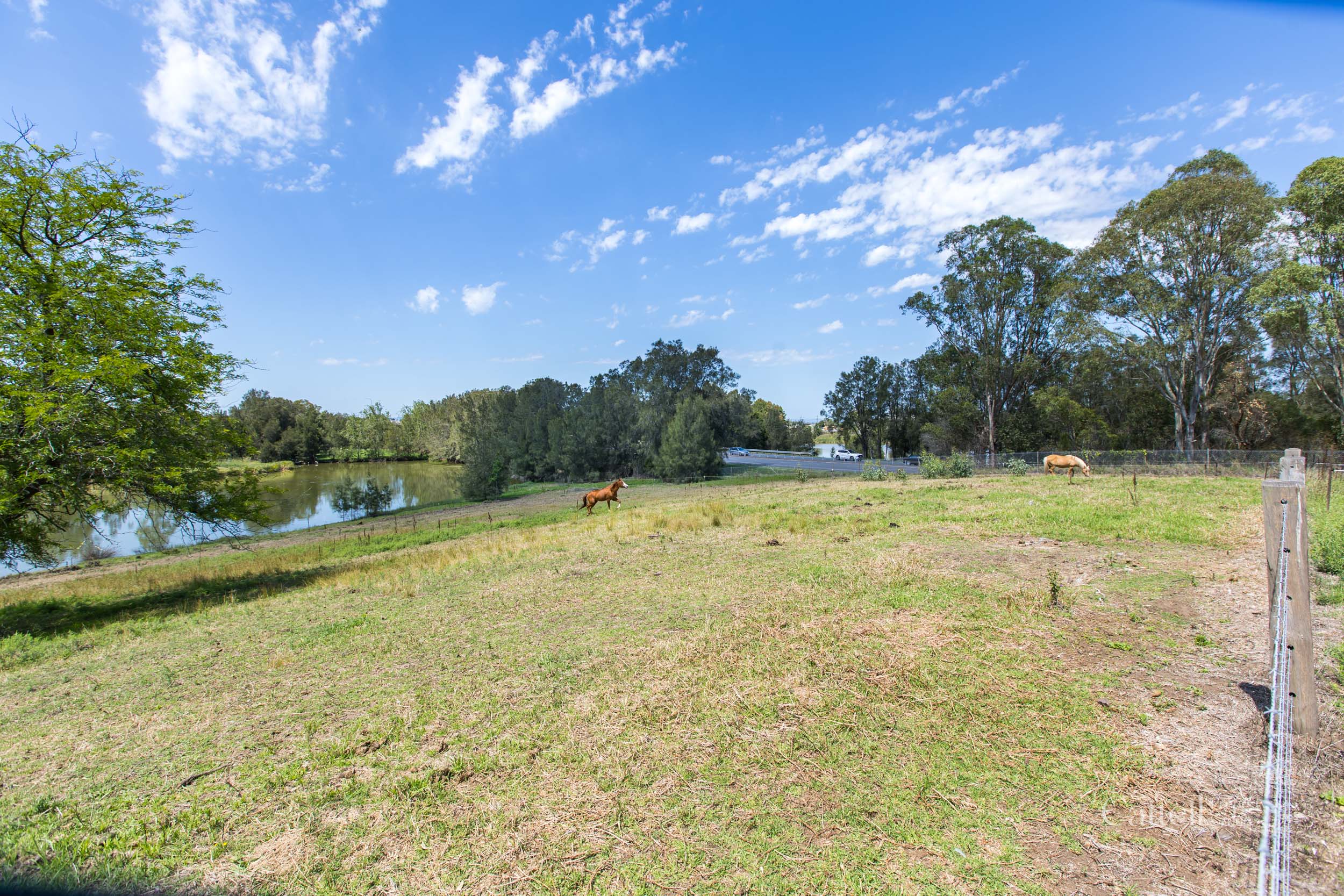 64 Bonar Street, Maitland For Sale by Farmbuy.com - image 34