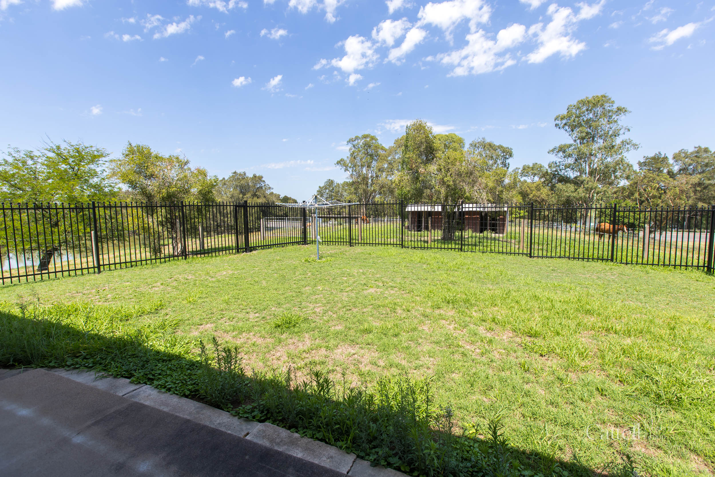 64 Bonar Street, Maitland For Sale by Farmbuy.com - image 10
