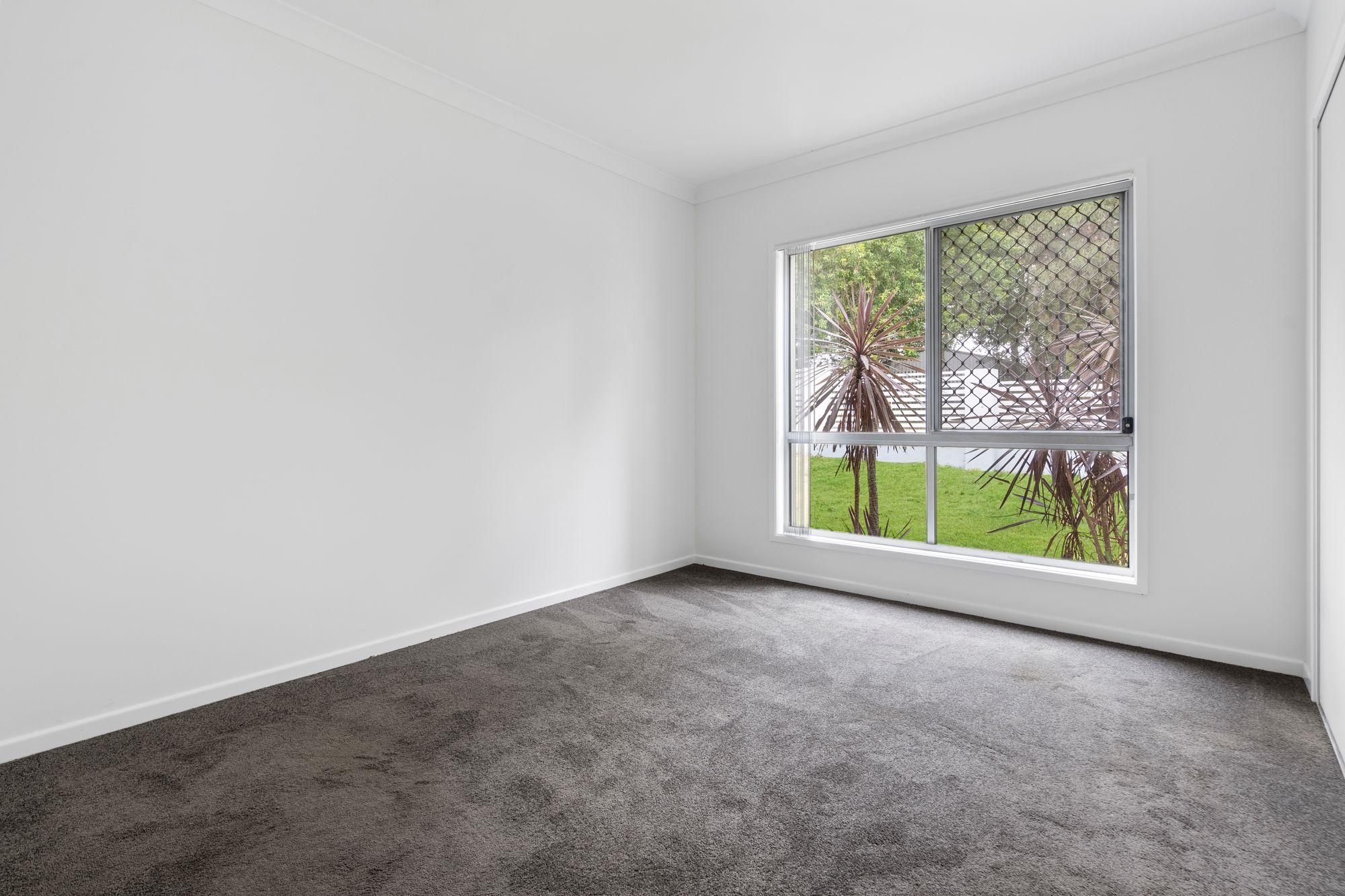 17 Ellendale Circuit, Eight Mile Plains Sold by Aurora Property - image 5