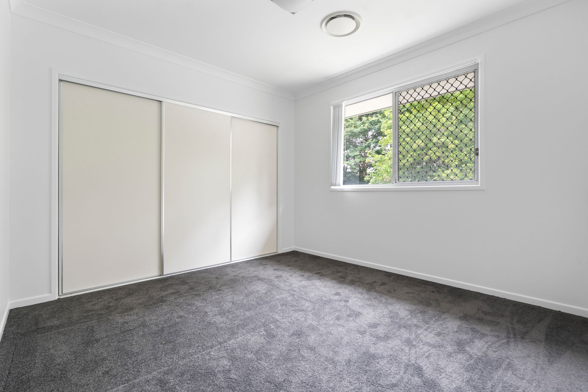 17 Ellendale Circuit, Eight Mile Plains Sold by Aurora Property - image 14
