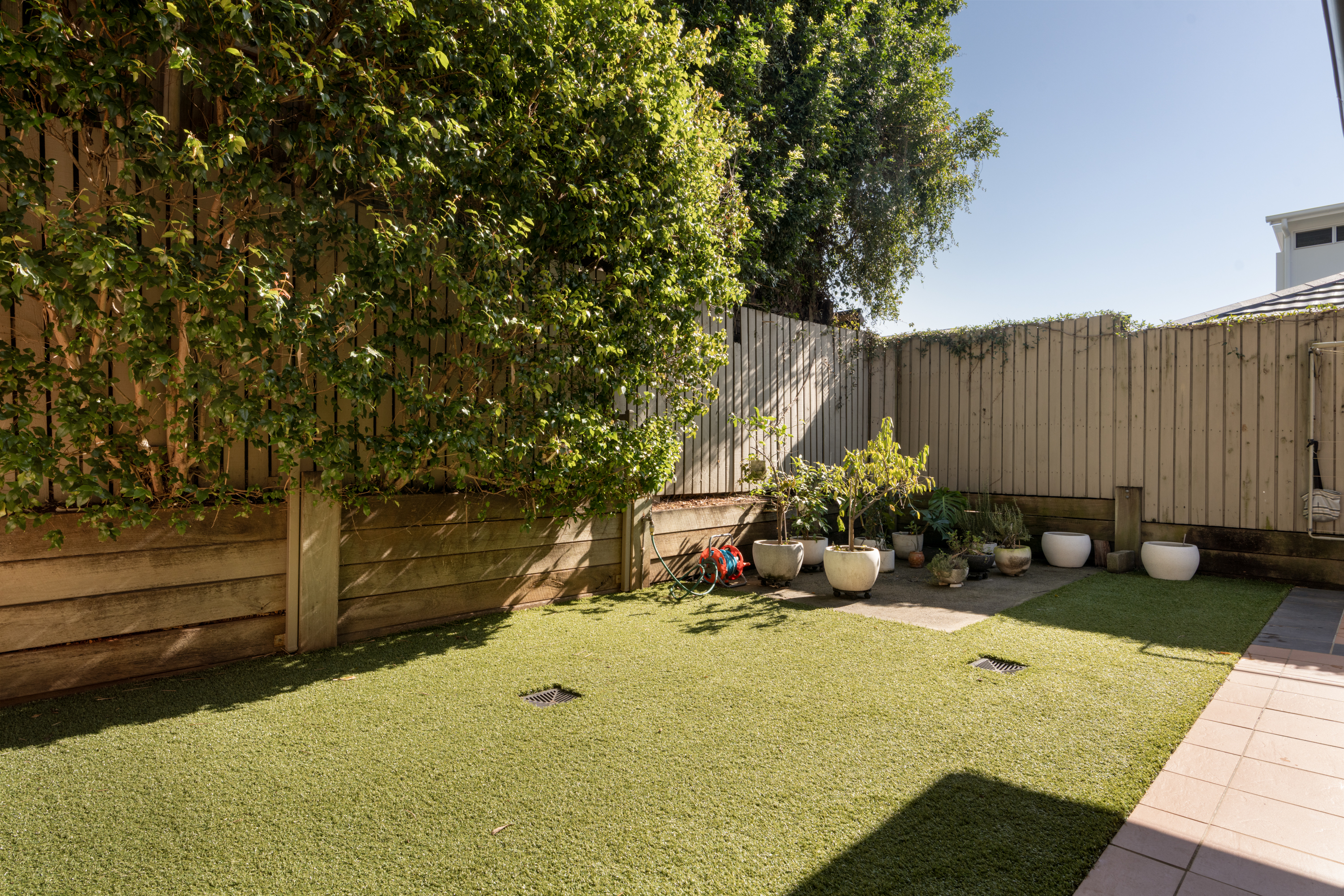 94 Pring Street, Hendra For Sale by Aurora Property - image 13