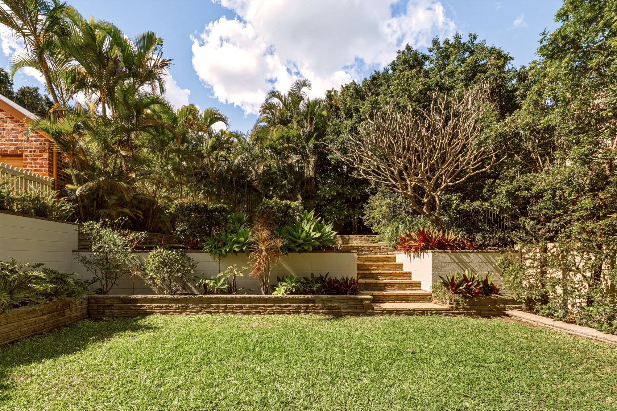 17 Wooloowin Avenue, Wooloowin Sold by Aurora Property - image 18