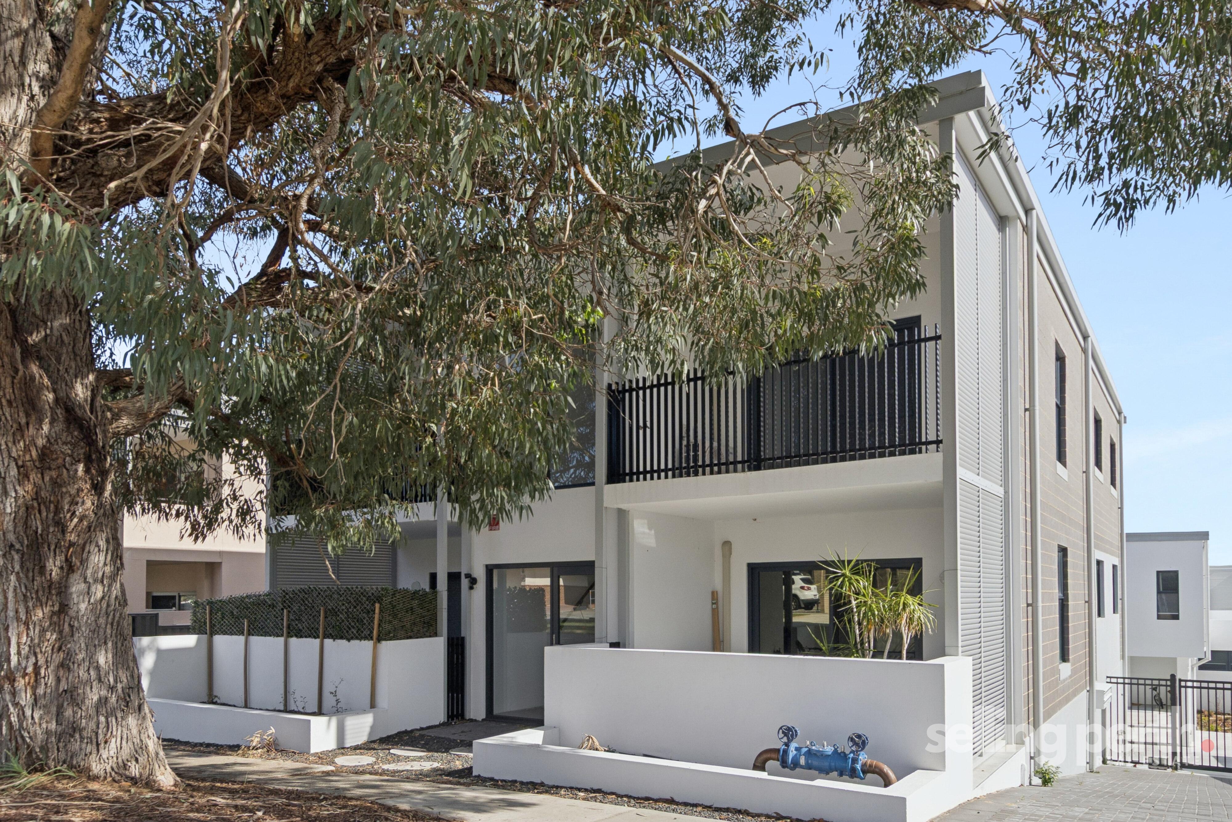 1 / 19 Ferguson Street, Maylands