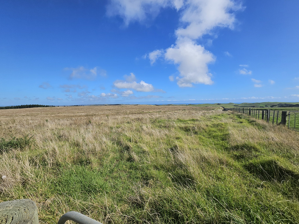 1 Basin Road, Dargaville