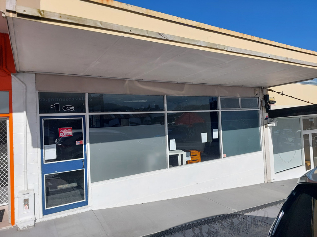 2/1 Grant Street, Kamo