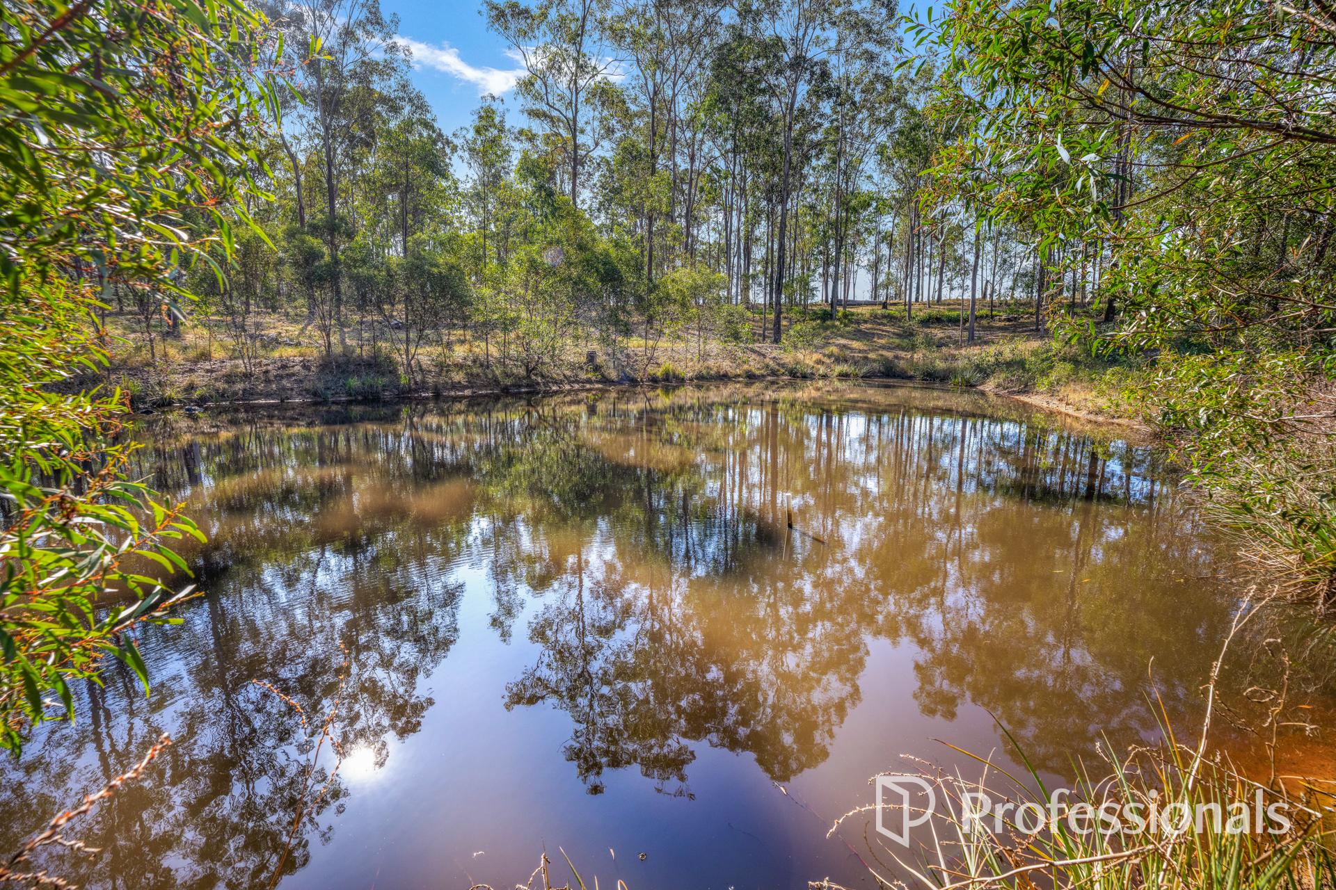 1723 Harvey Siding Road, Curra For Sale by Farmbuy.com - image 18