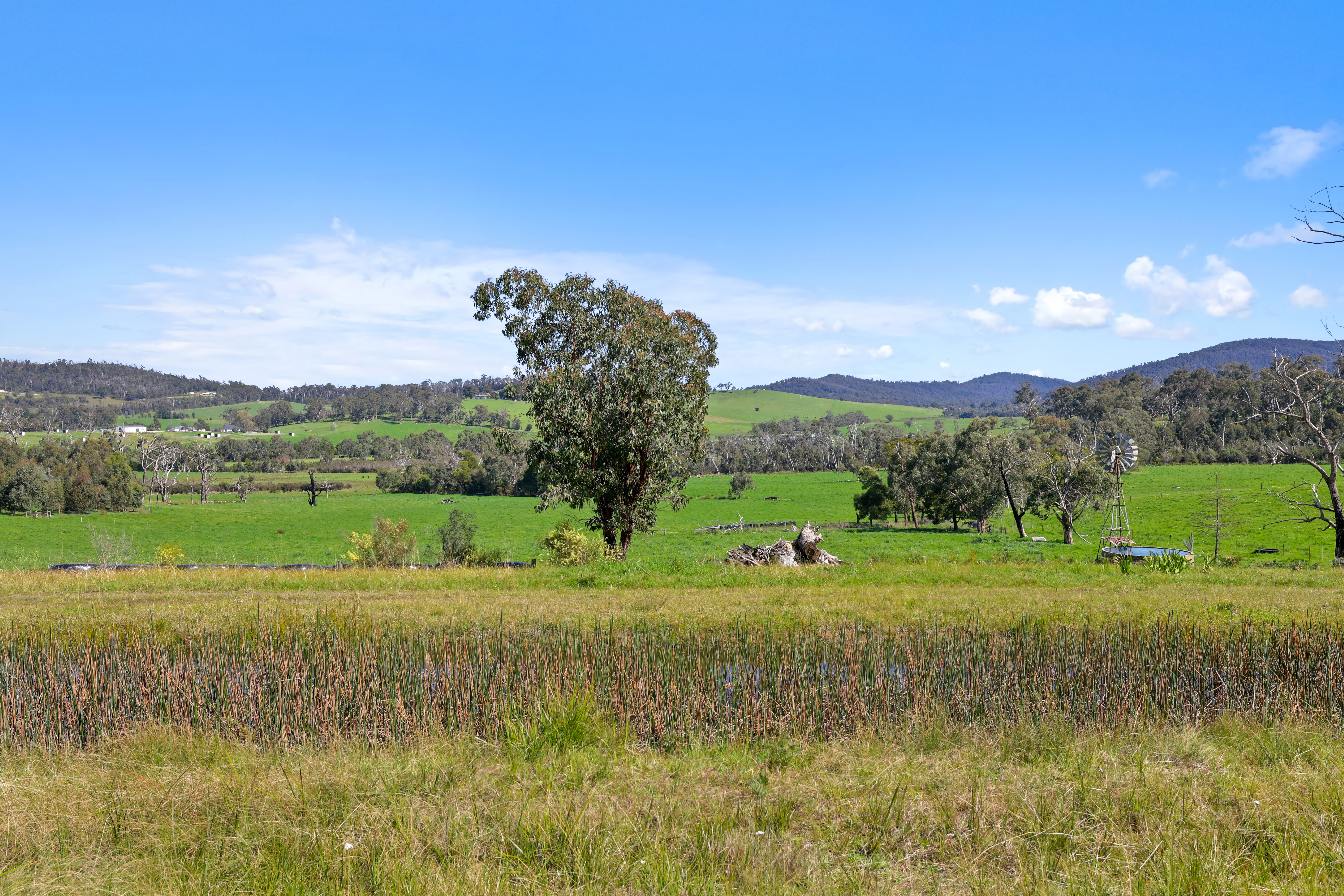 110 Topp Road, Tonimbuk For Sale by Farmbuy.com - image 2