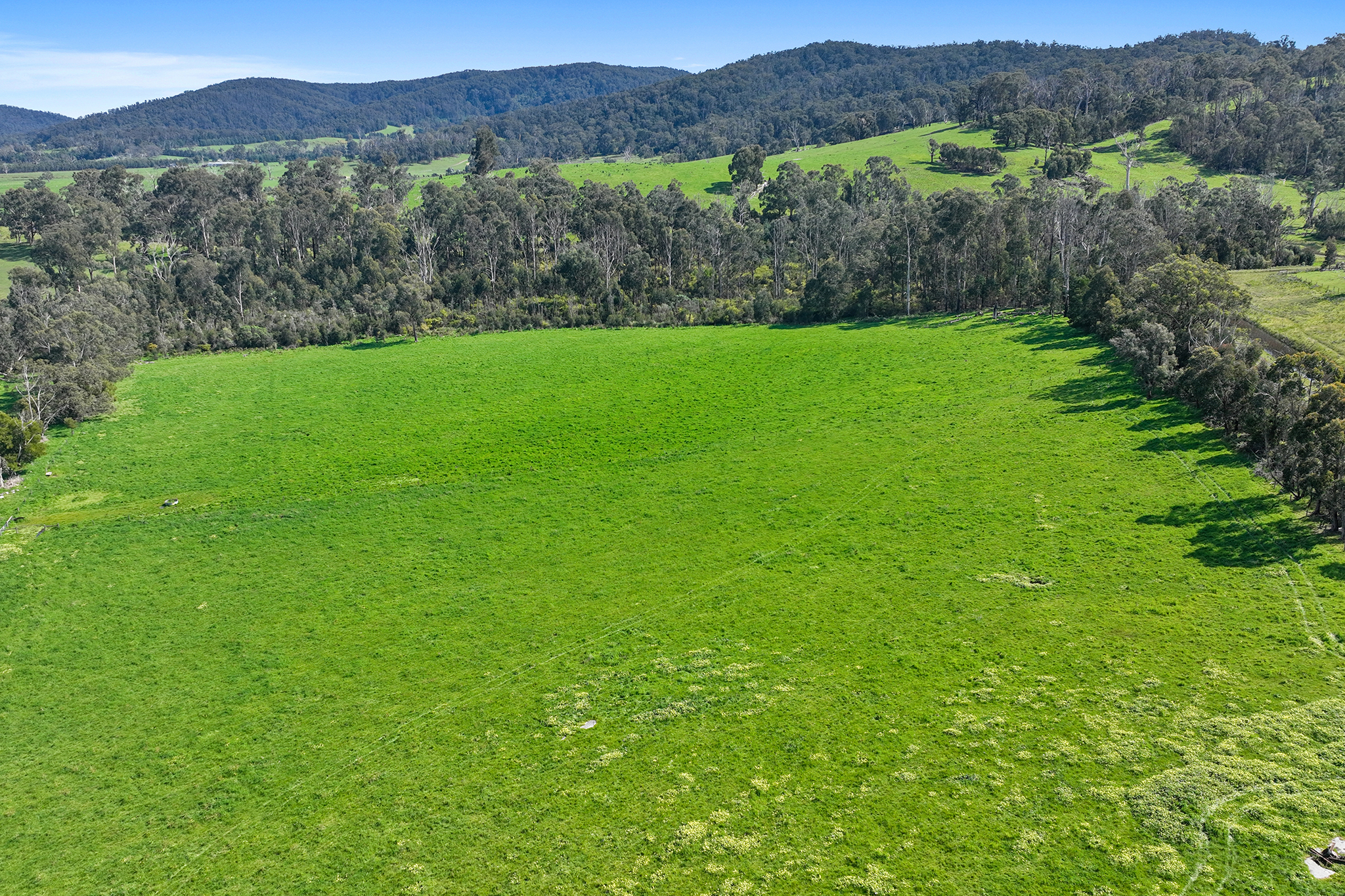 110 Topp Road, Tonimbuk For Sale by Farmbuy.com - image 10