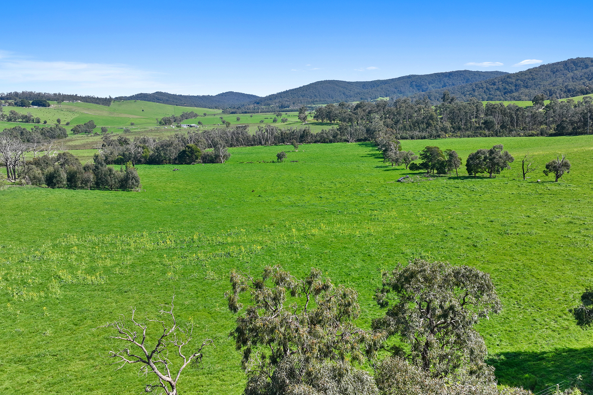 110 Topp Road, Tonimbuk For Sale by Farmbuy.com - image 15