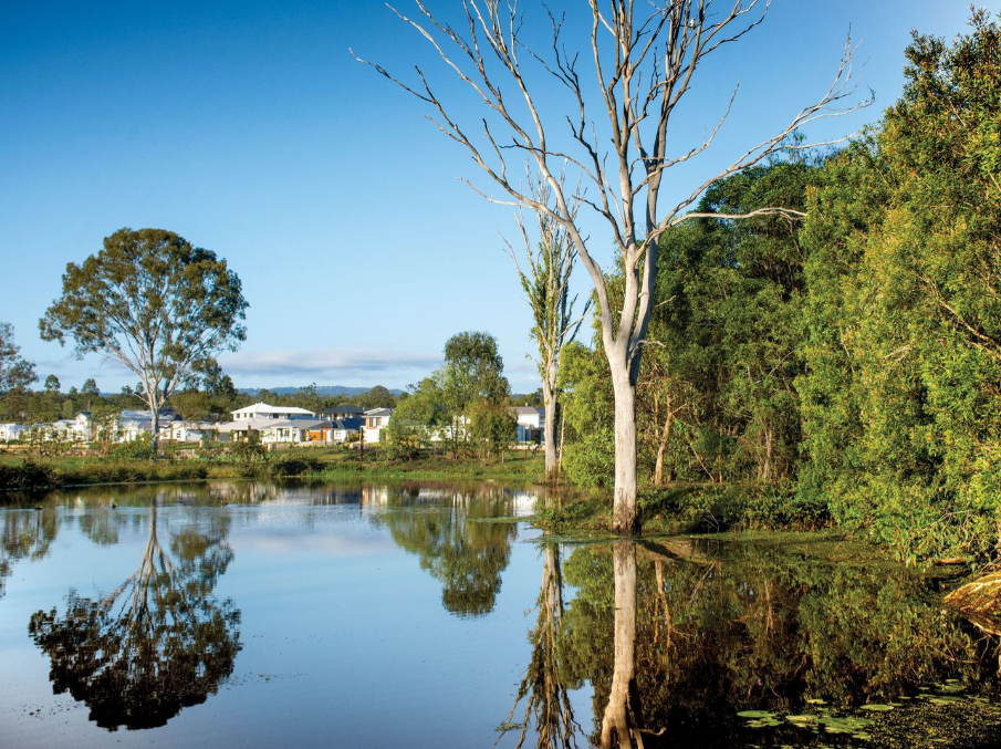 80 Flametree Circuit, Arundel QLD