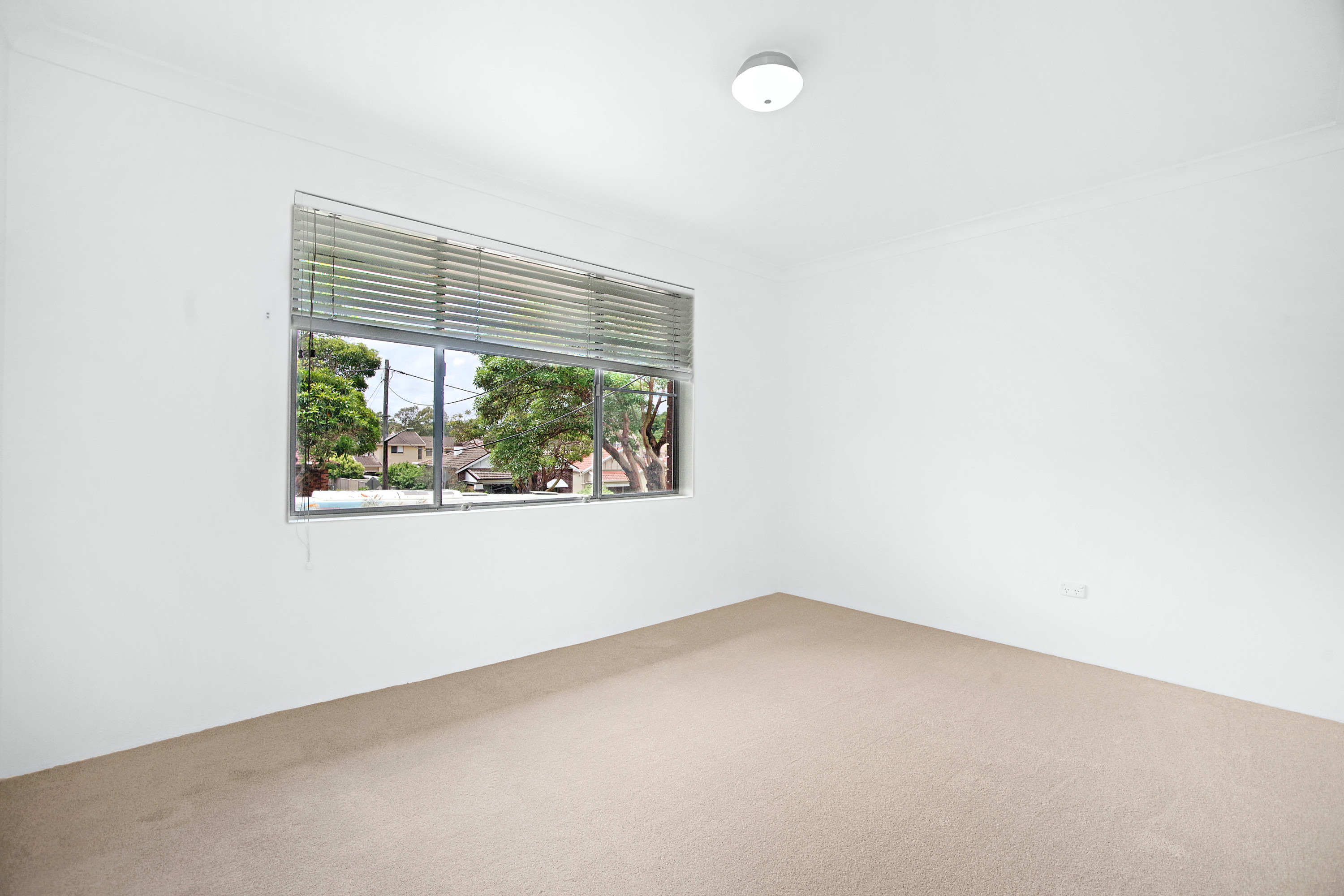 4/1 Wonga Street, Canterbury For Lease by ArthurJames Real Estate (formerly Robert R. Andrews) - image 2