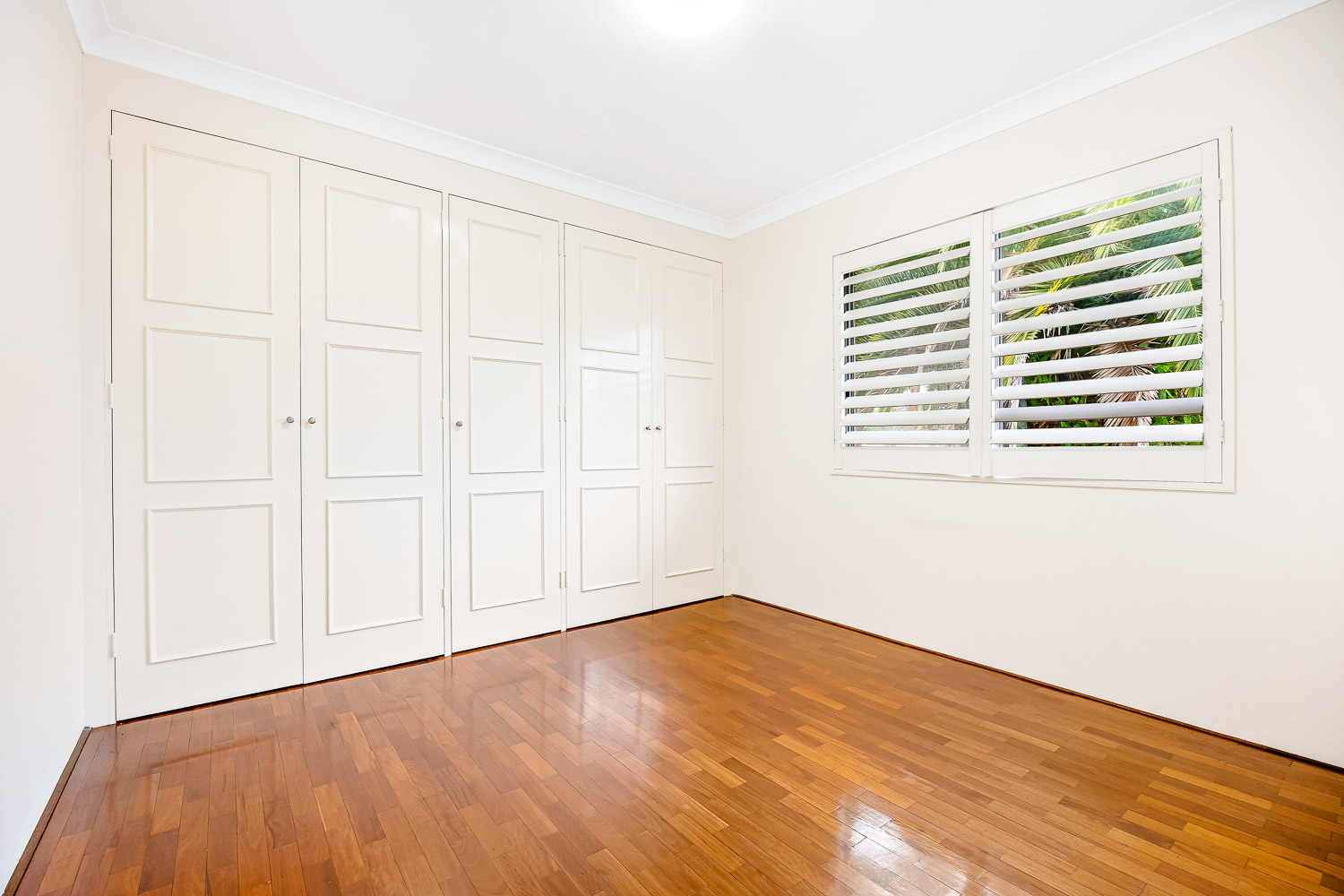 8/41 First Avenue, Campsie For Lease by ArthurJames Real Estate (formerly Robert R. Andrews) - image 4