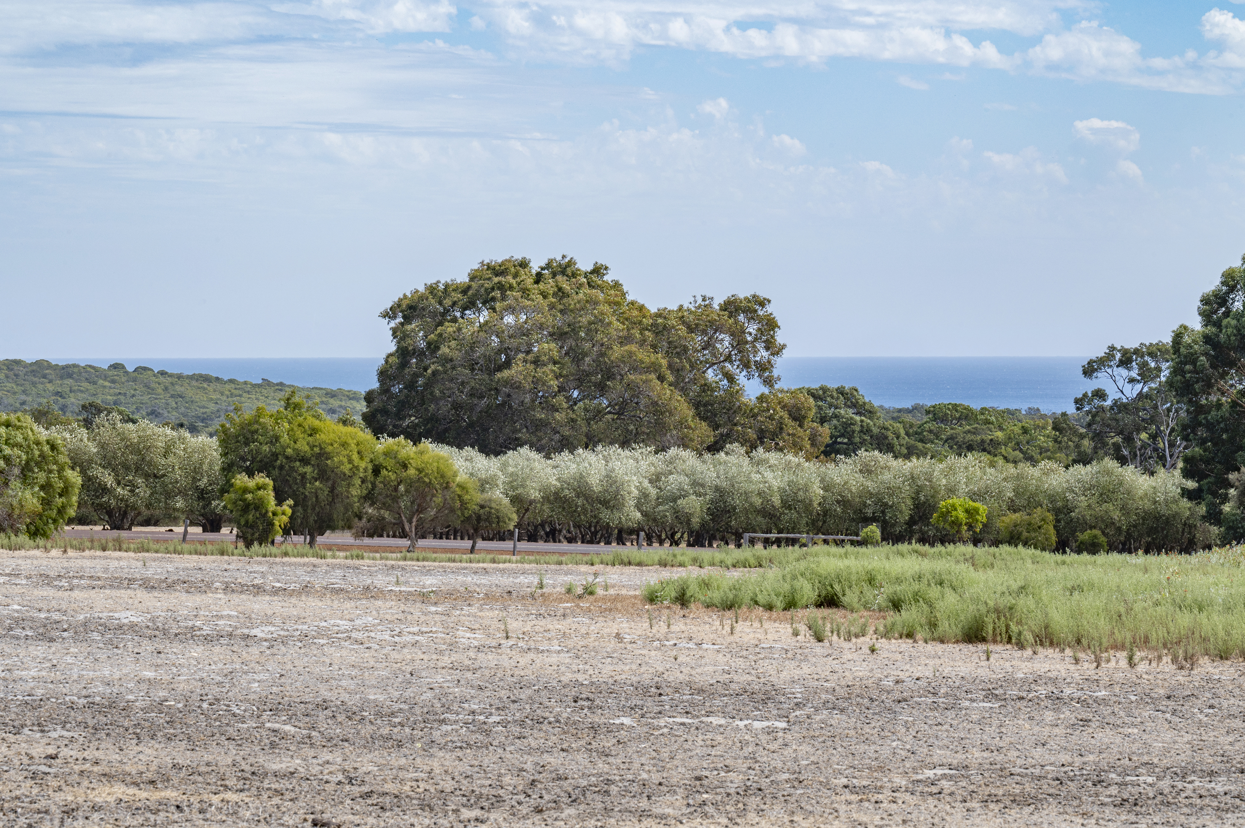 114 Sonning Loop, YALLINGUP WA 6282, Yallingup - Image 1