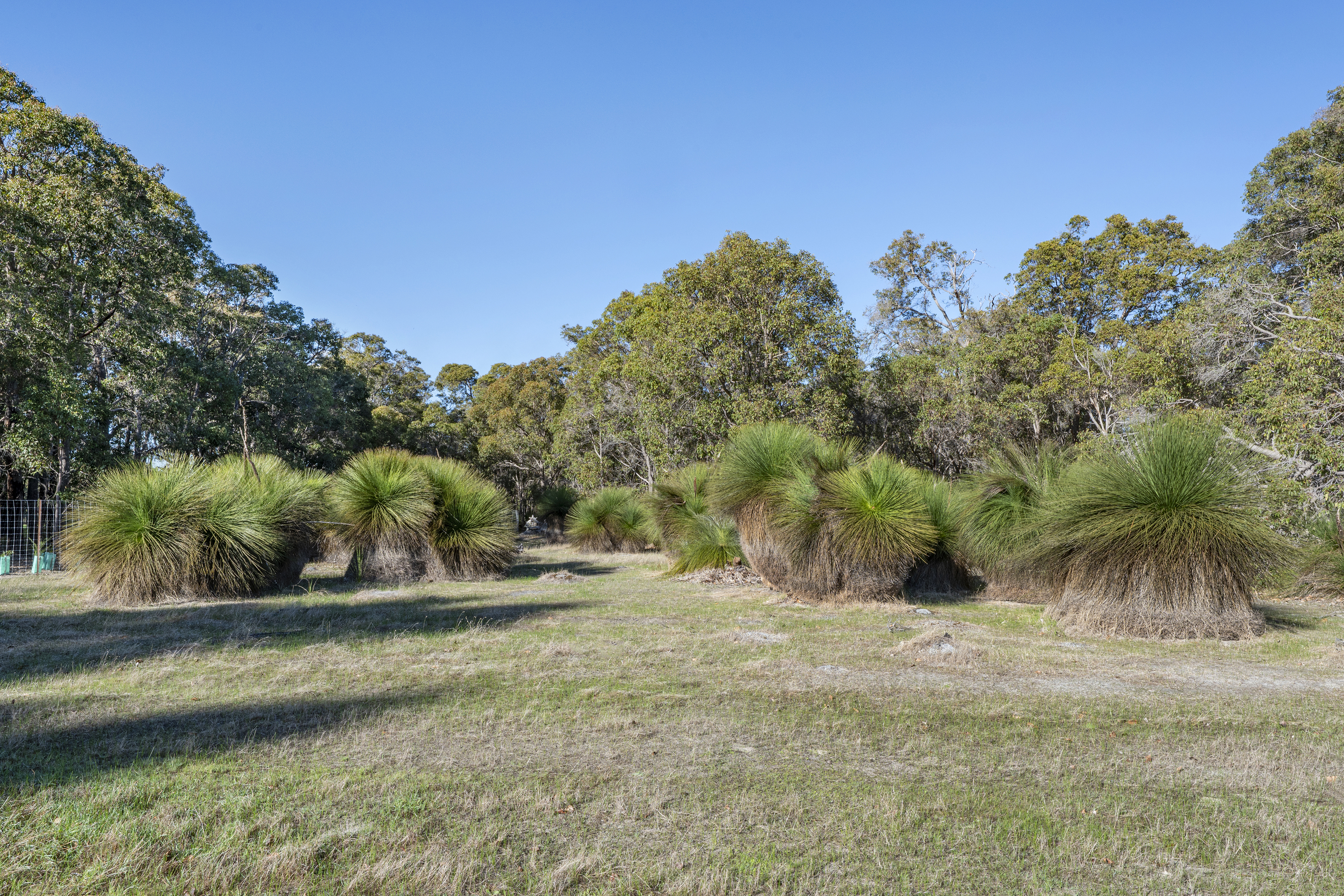 922 Commonage Road, YALLINGUP WA 6282, Yallingup - Thumbnail 5