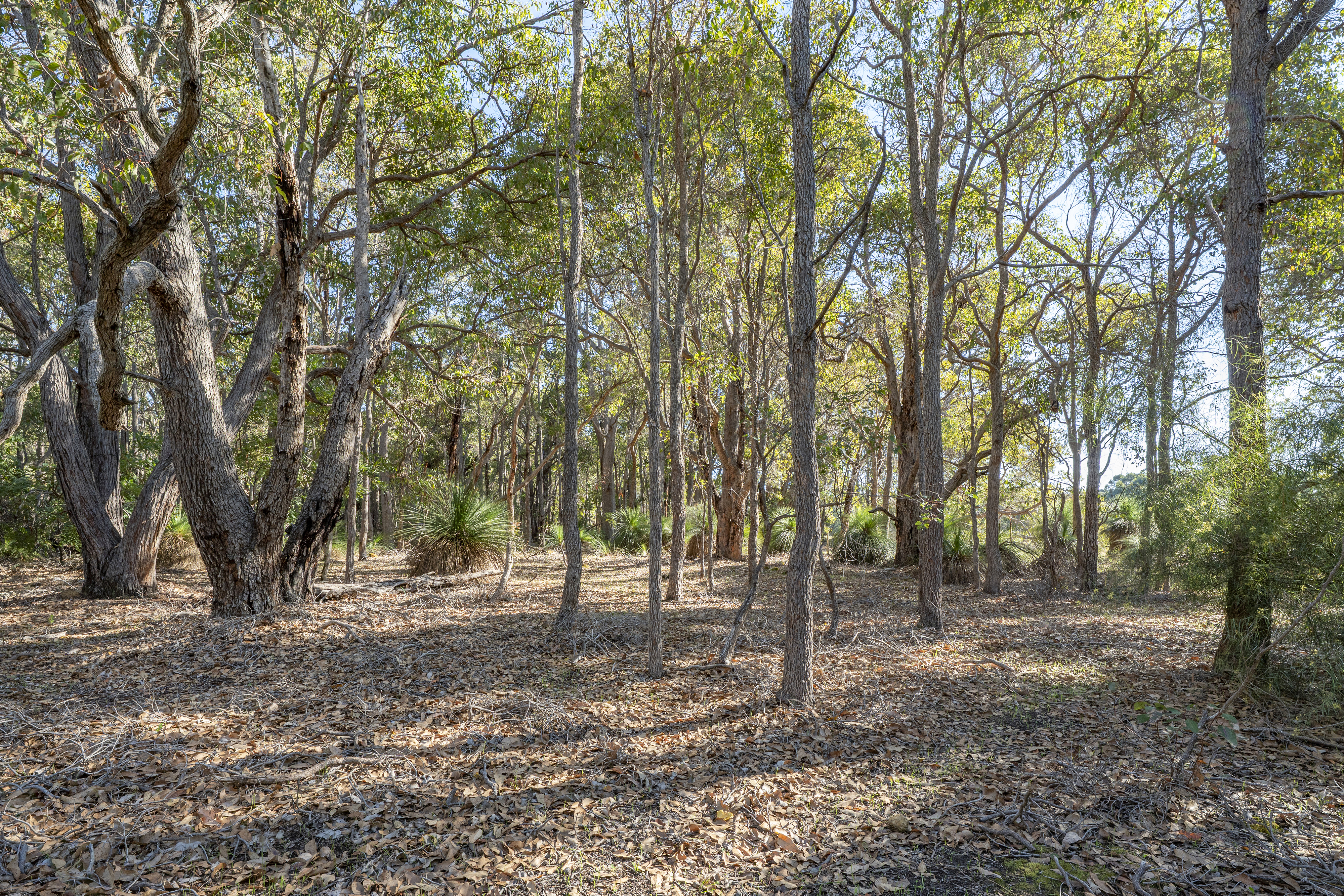 922 Commonage Road, YALLINGUP WA 6282, Yallingup - Thumbnail 7