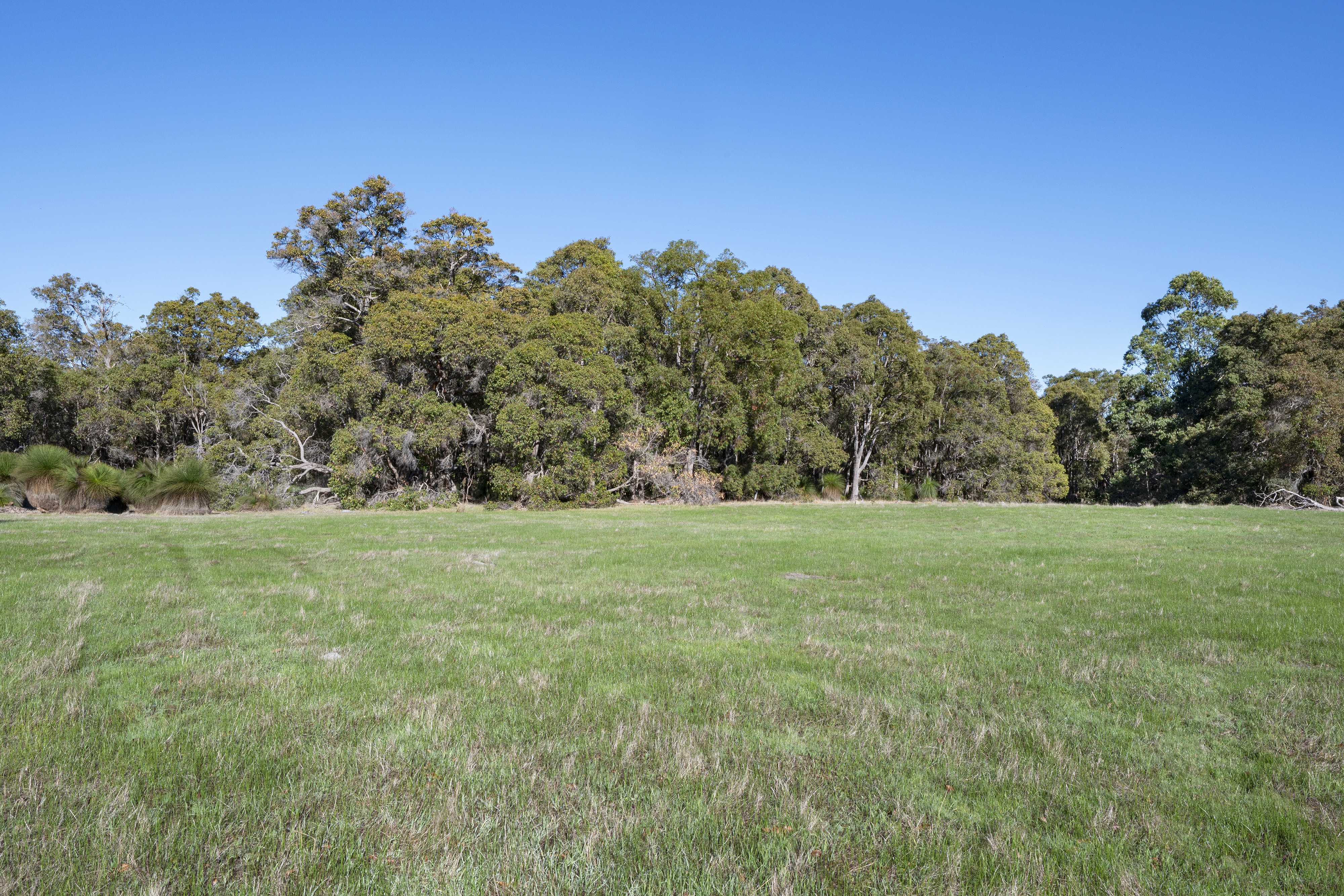 922 Commonage Road, YALLINGUP WA 6282, Yallingup - Thumbnail 4