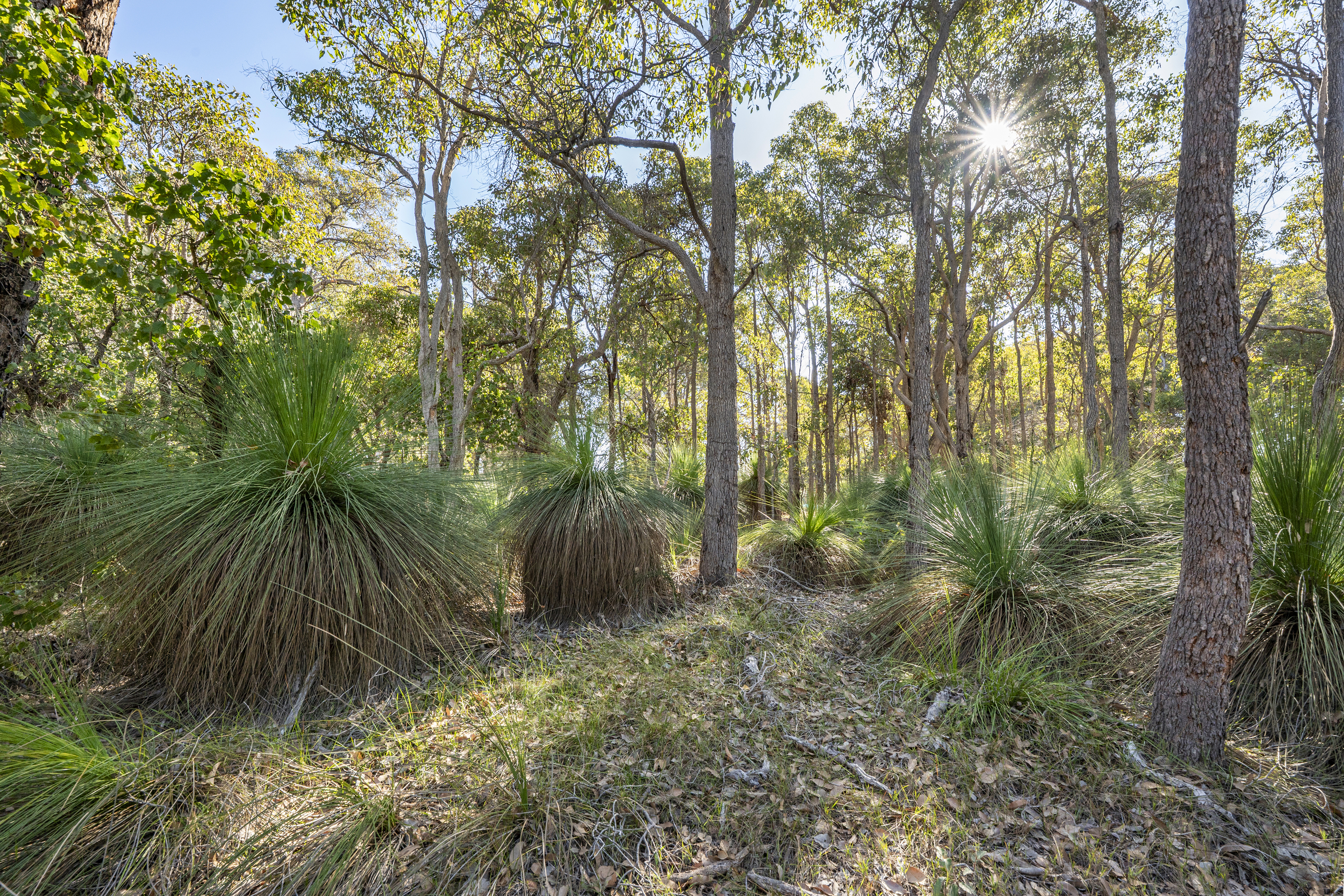 922 Commonage Road, YALLINGUP WA 6282, Yallingup - Thumbnail 8