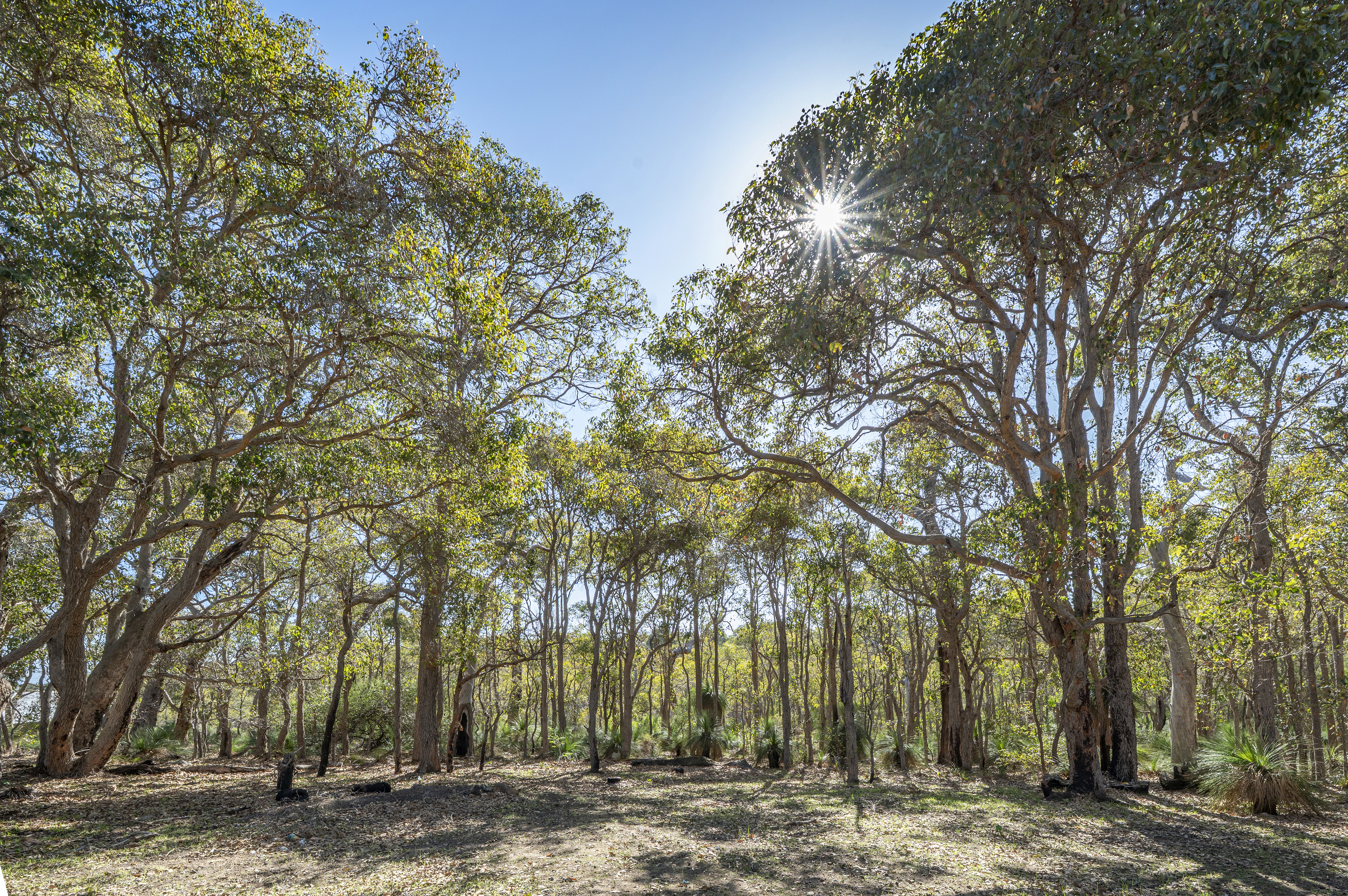 35 Shallows Loop, YALLINGUP WA 6282, Yallingup - Thumbnail 4