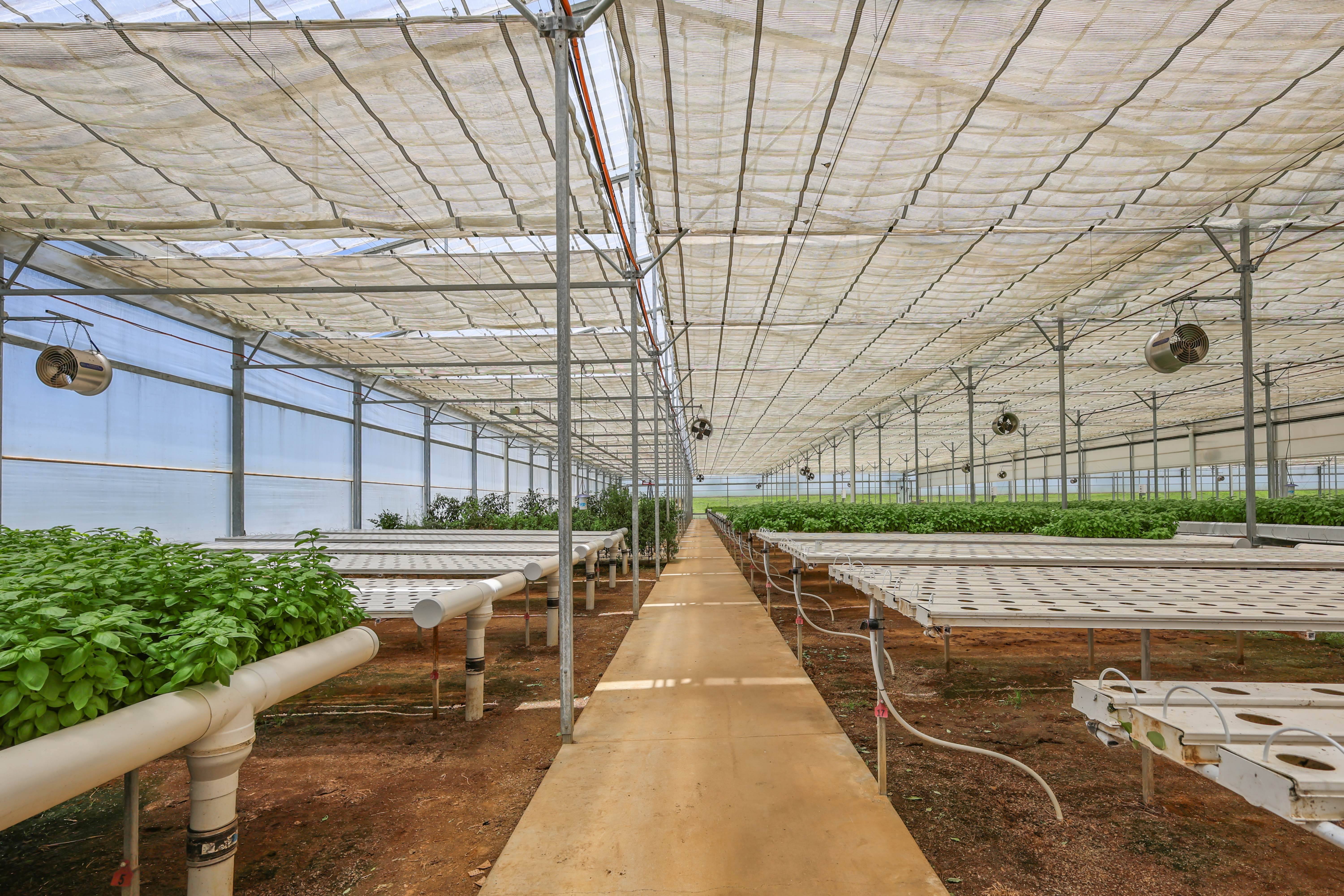 Lot 120/178 Dunns Avenue, Harrisville For Sale by Farmbuy.com - image 3