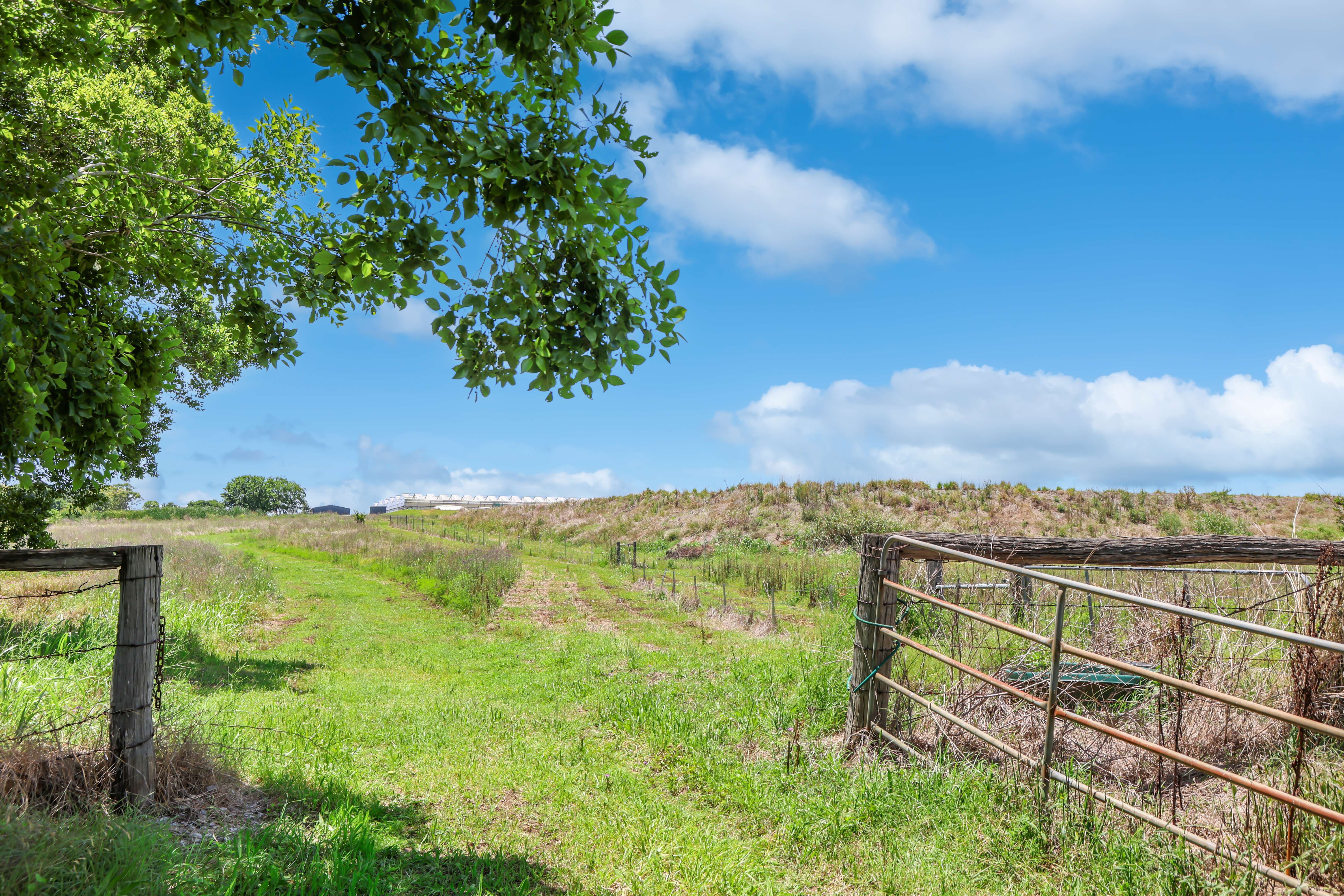 Lot 120/178 Dunns Avenue, Harrisville For Sale by Farmbuy.com - image 23