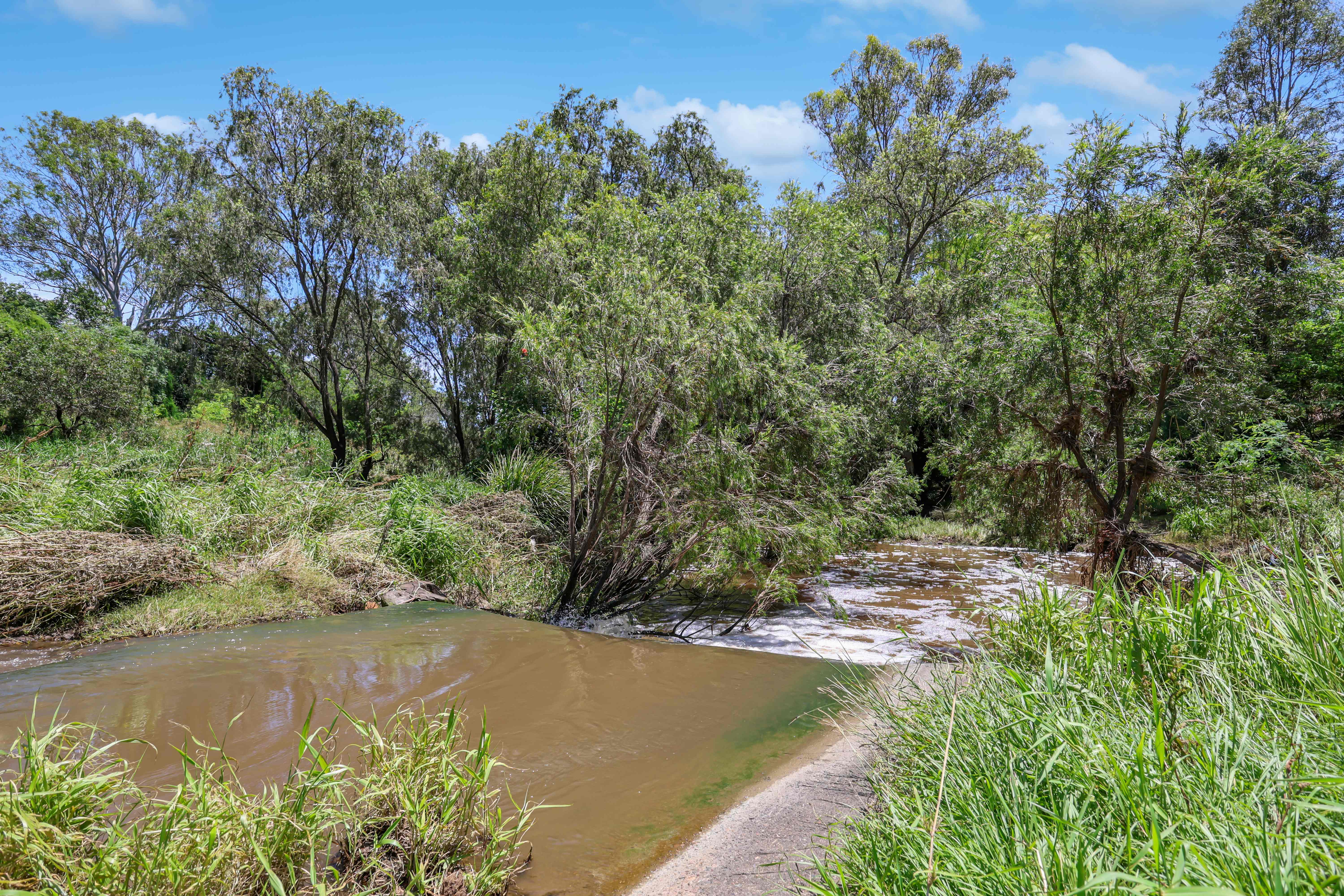 Lot 120/178 Dunns Avenue, Harrisville For Sale by Farmbuy.com - image 26