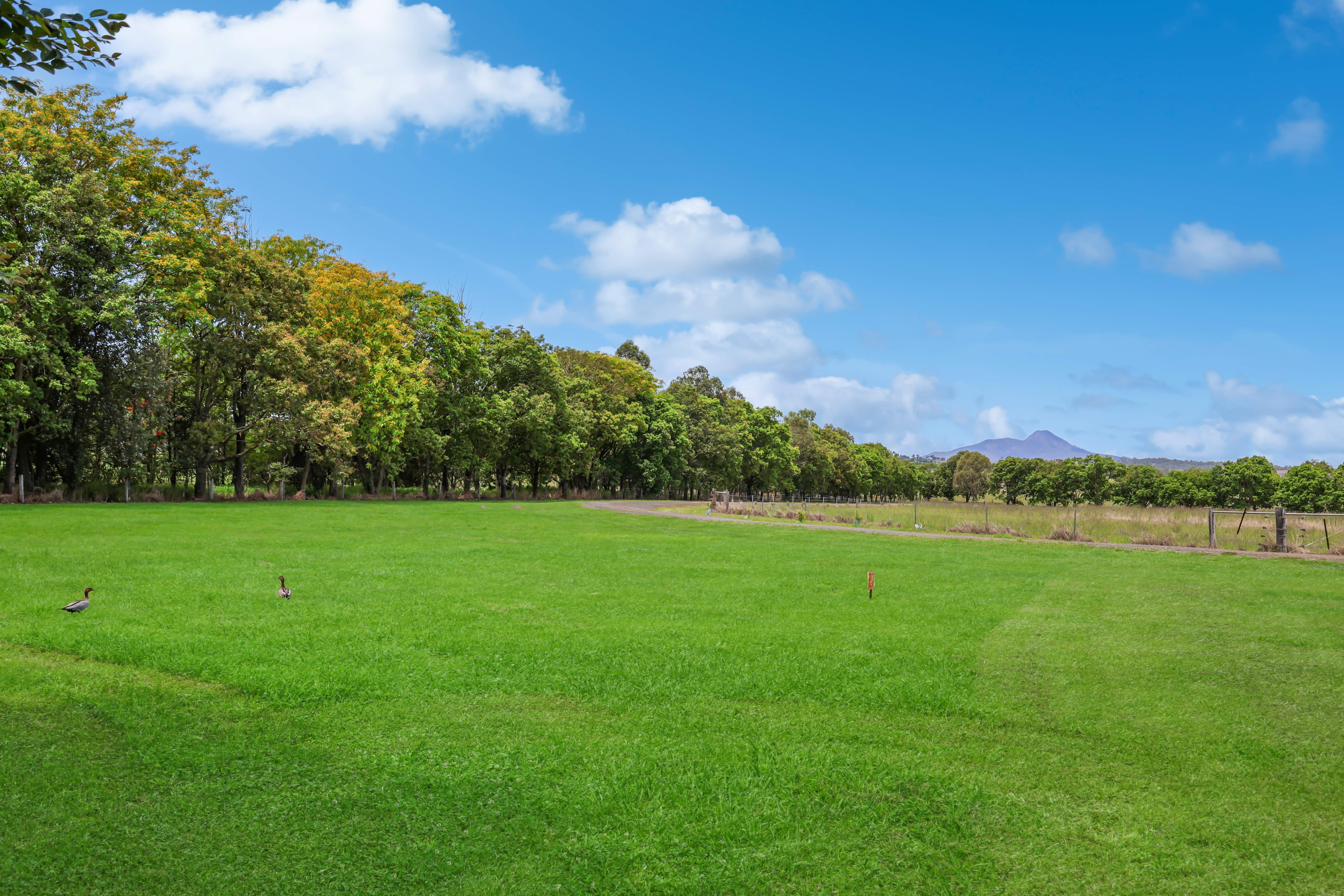 Lot 120/178 Dunns Avenue, Harrisville For Sale by Farmbuy.com - image 12