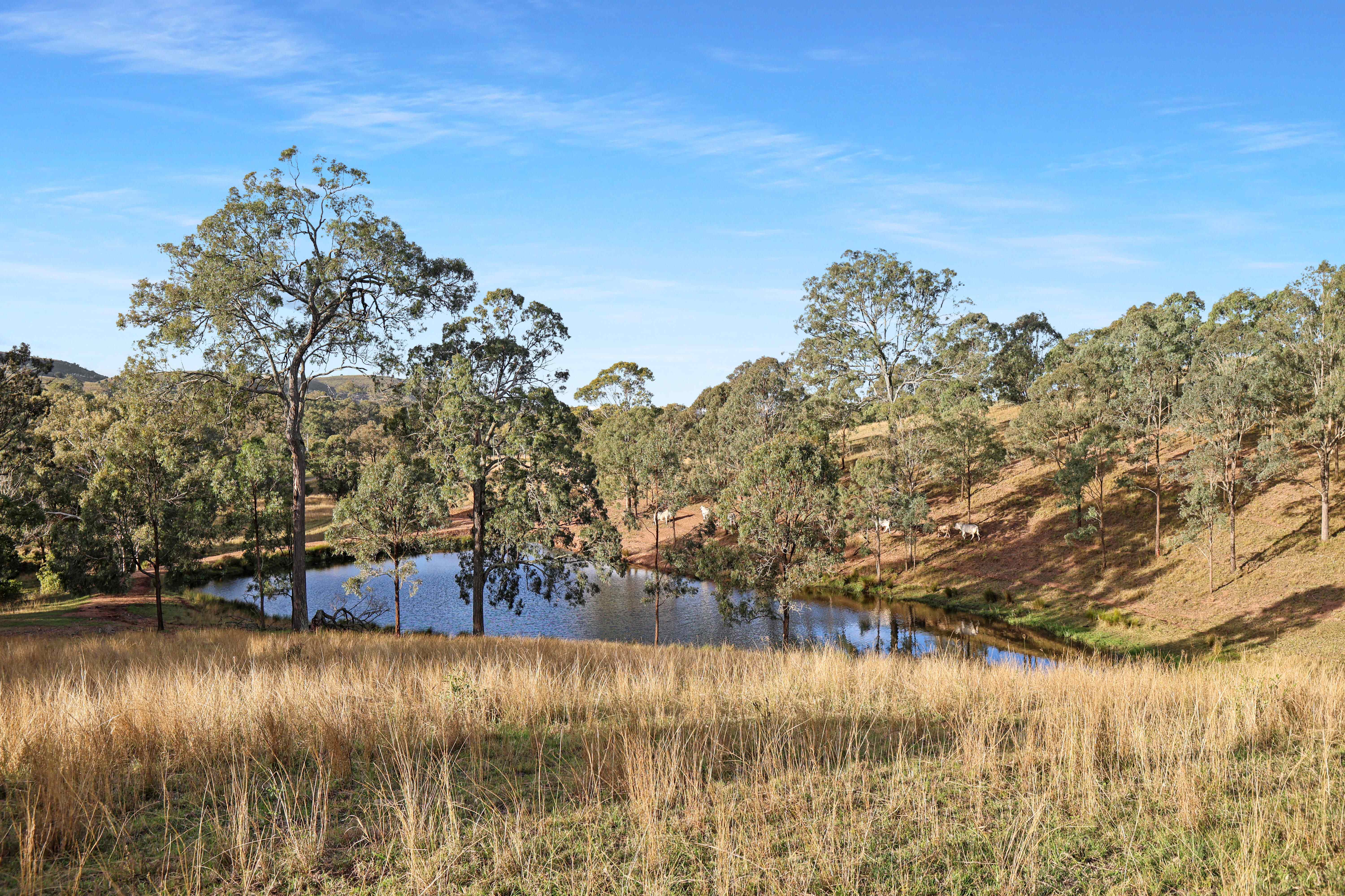 396 Kooralgin-Upper Yarraman Road, Kooralgin For Sale by Farmbuy.com - image 7