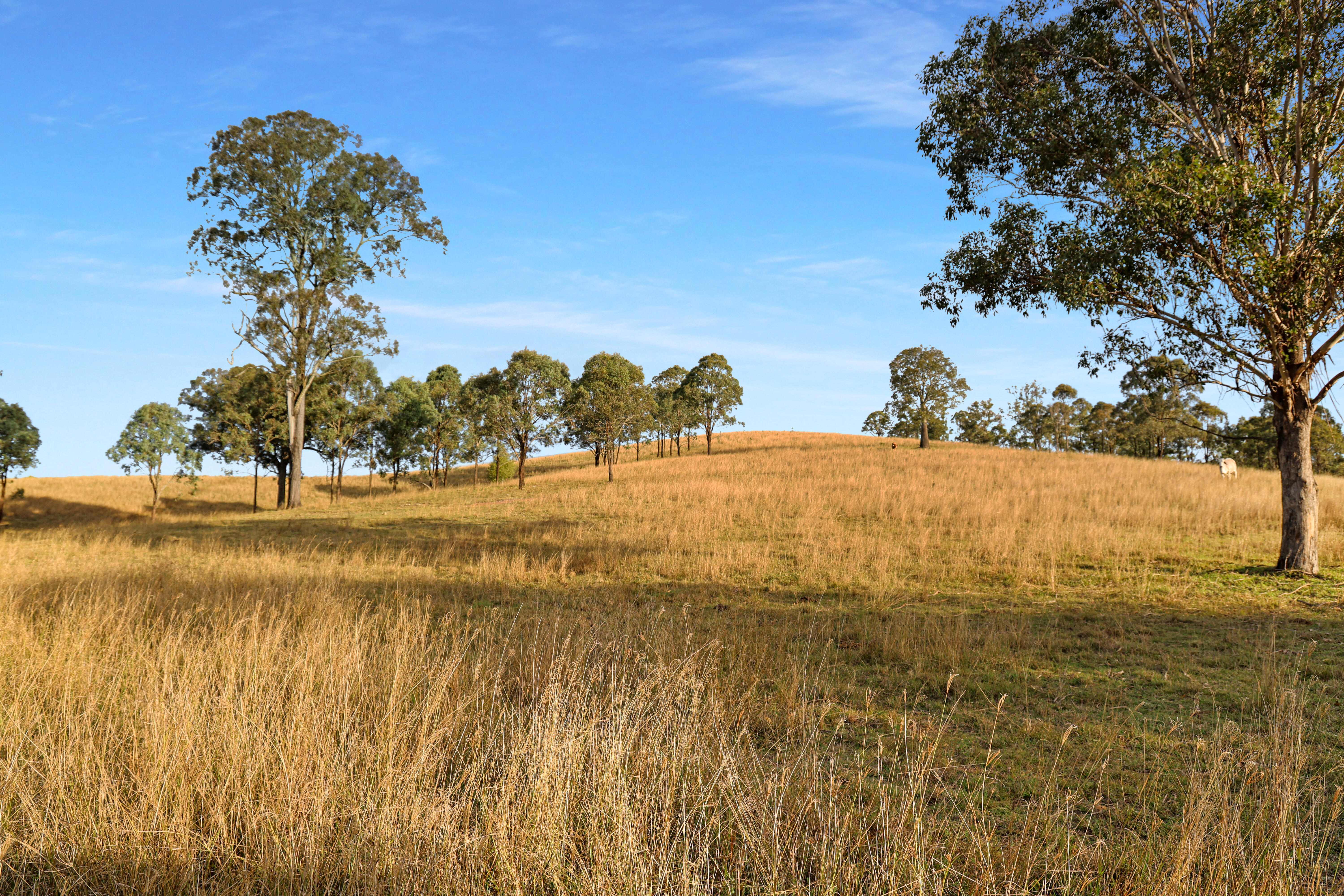 396 Kooralgin-Upper Yarraman Road, Kooralgin For Sale by Farmbuy.com - image 9