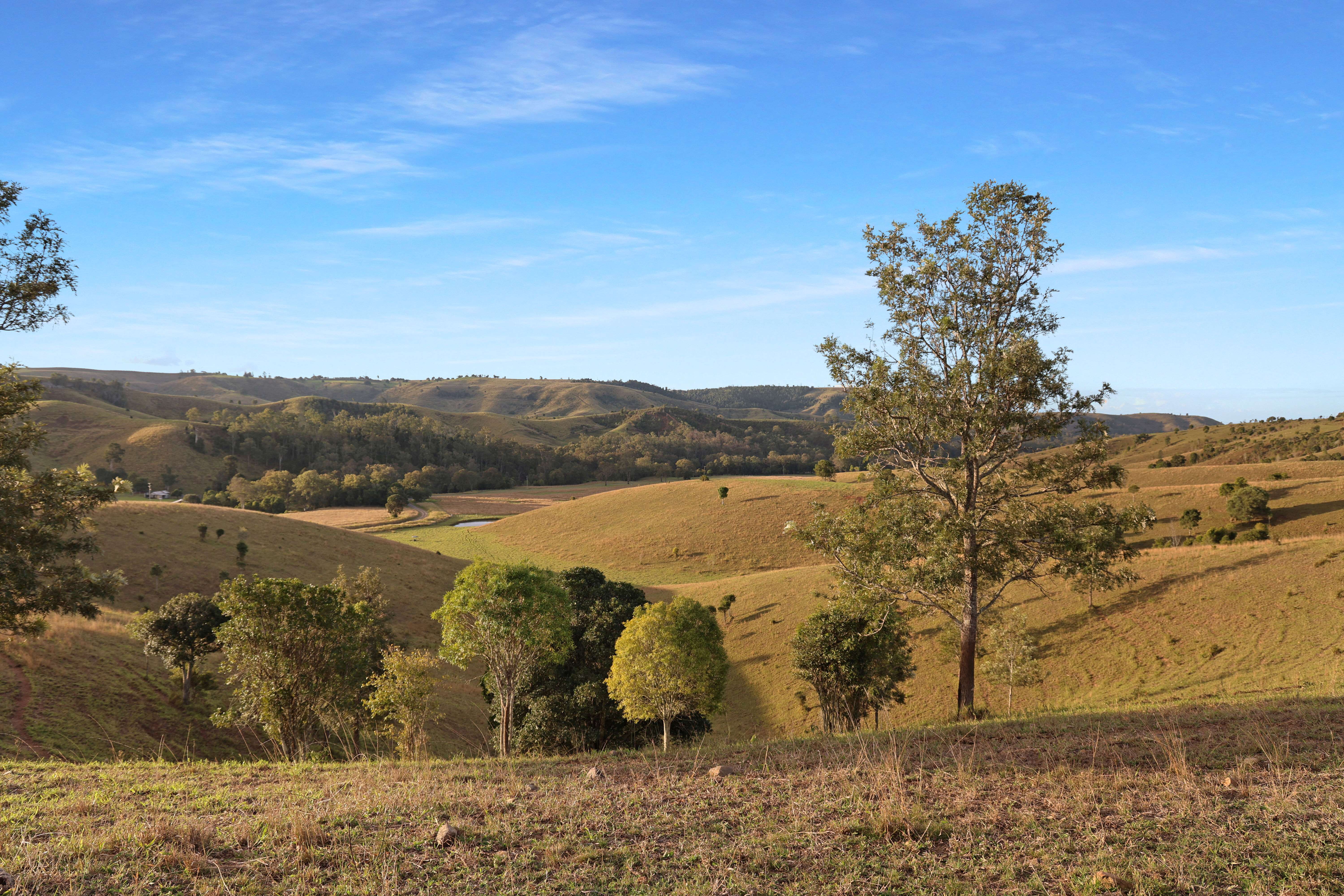 396 Kooralgin-Upper Yarraman Road, Kooralgin For Sale by Farmbuy.com - image 10
