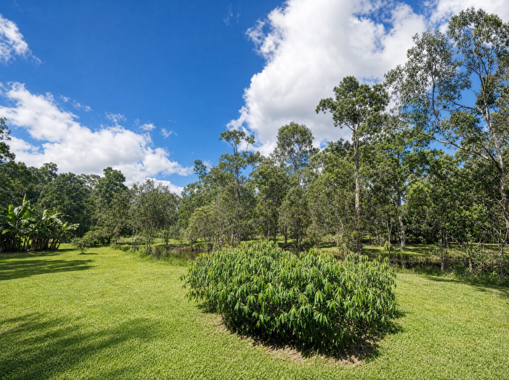 132 Arborthree Road, Glenwood QLD — photo 4 of 8
