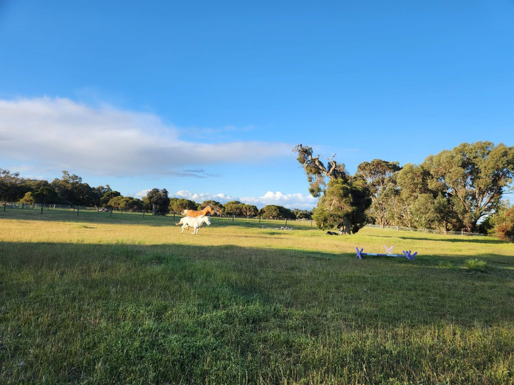 38 Tranquil Retreat, Barragup WA — photo 2 of 8