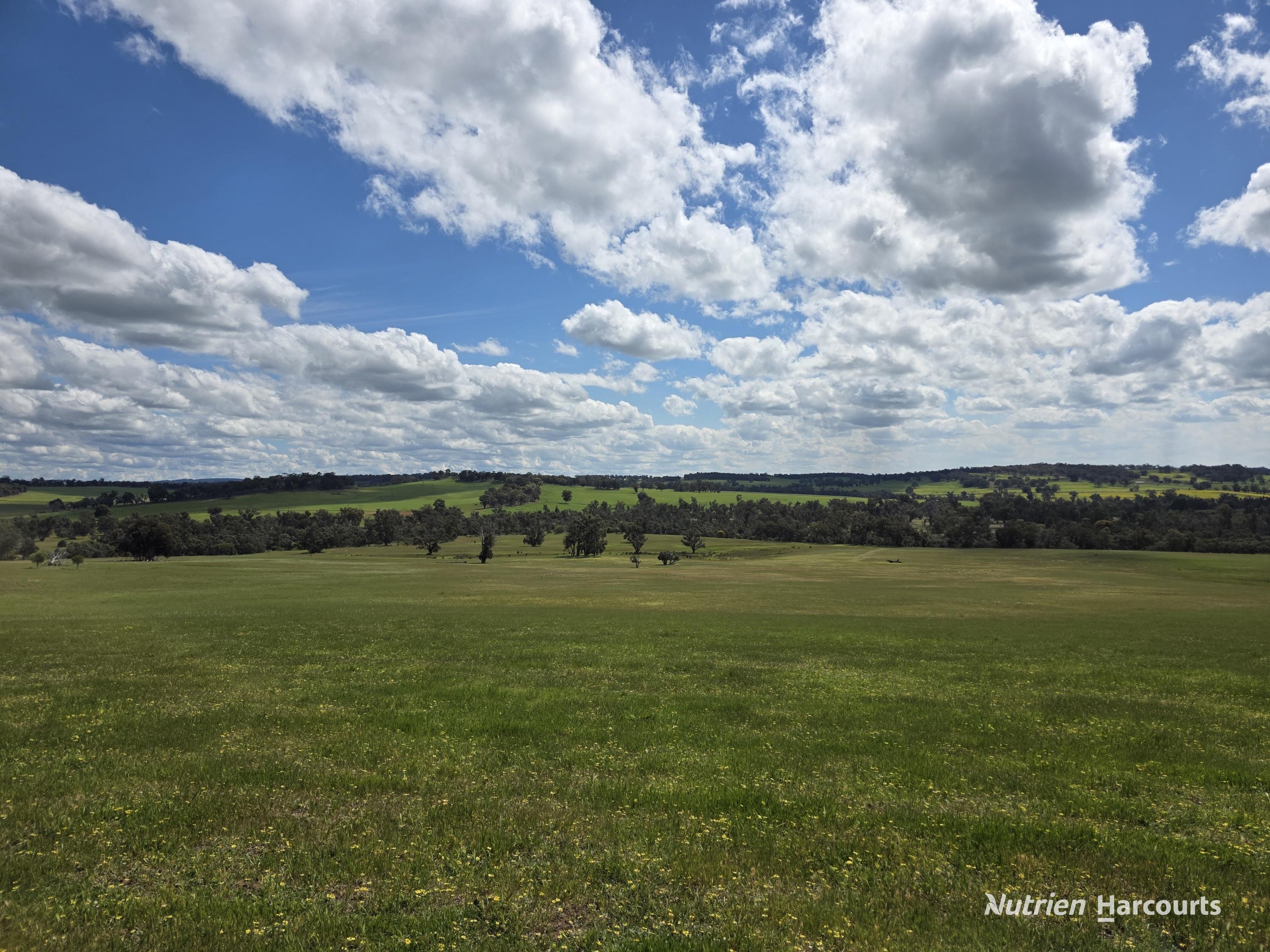 288 & Lot 3394 Glenorchy Road South, Mokup WA 6394