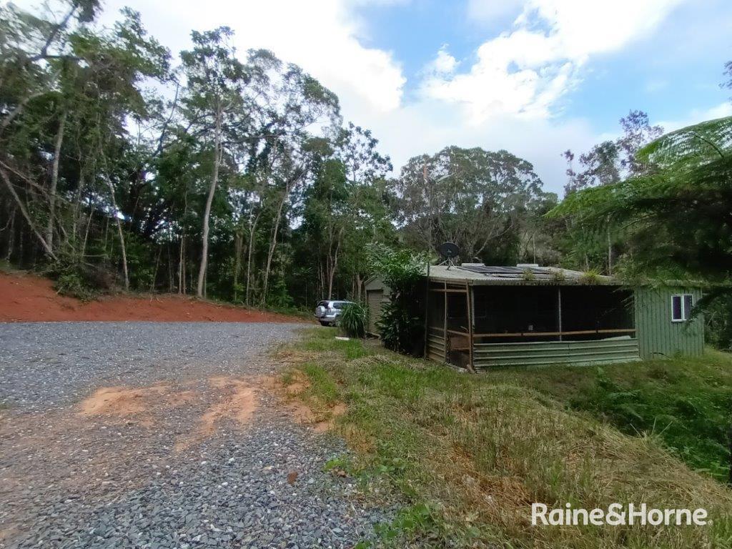 67 Ronald Road, FOREST CREEK, DAINTREE, QLD 4873 Raine & Horne Raine