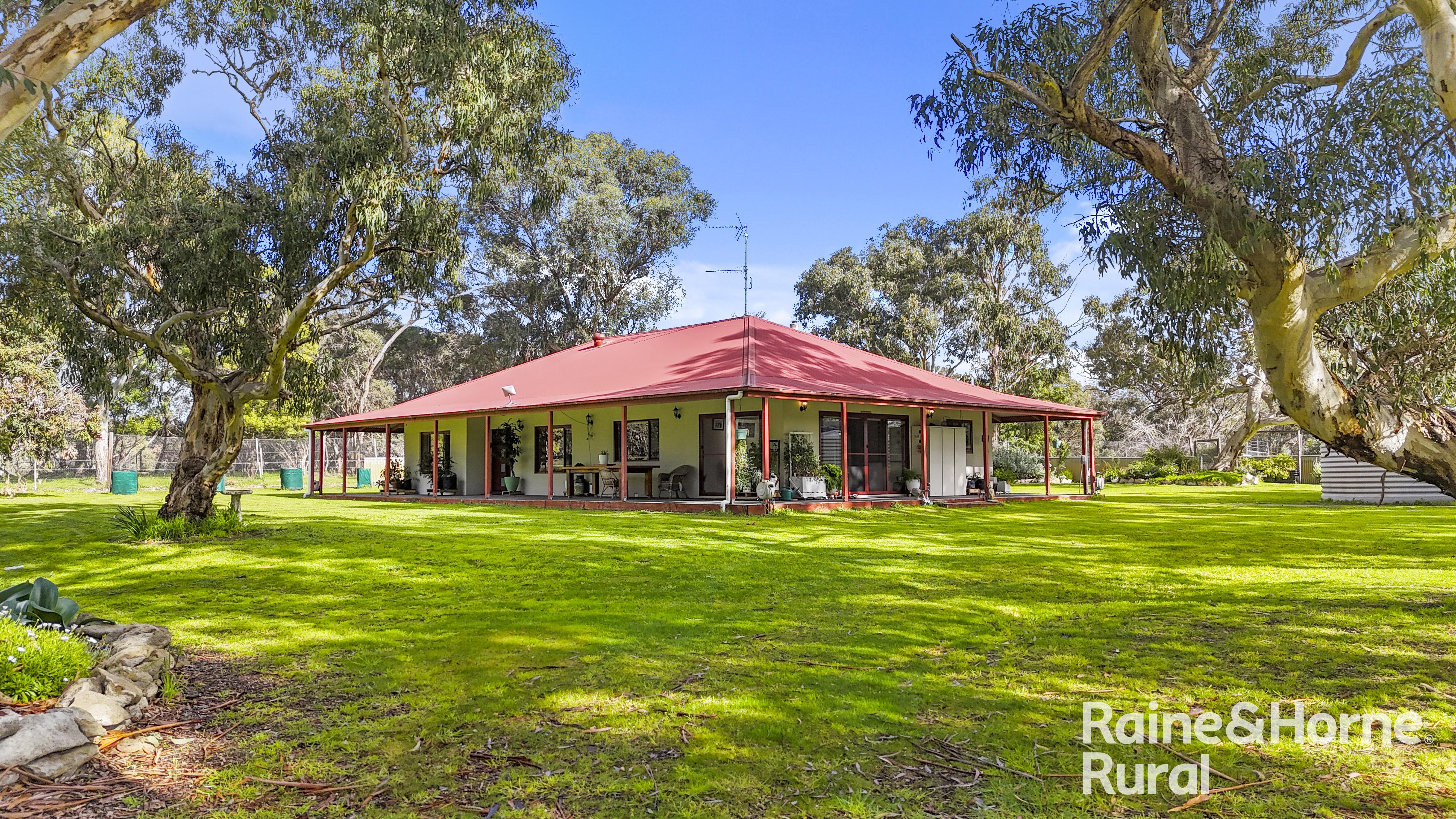 555 Mail Bridge Road, Reedy Creek SA 5275